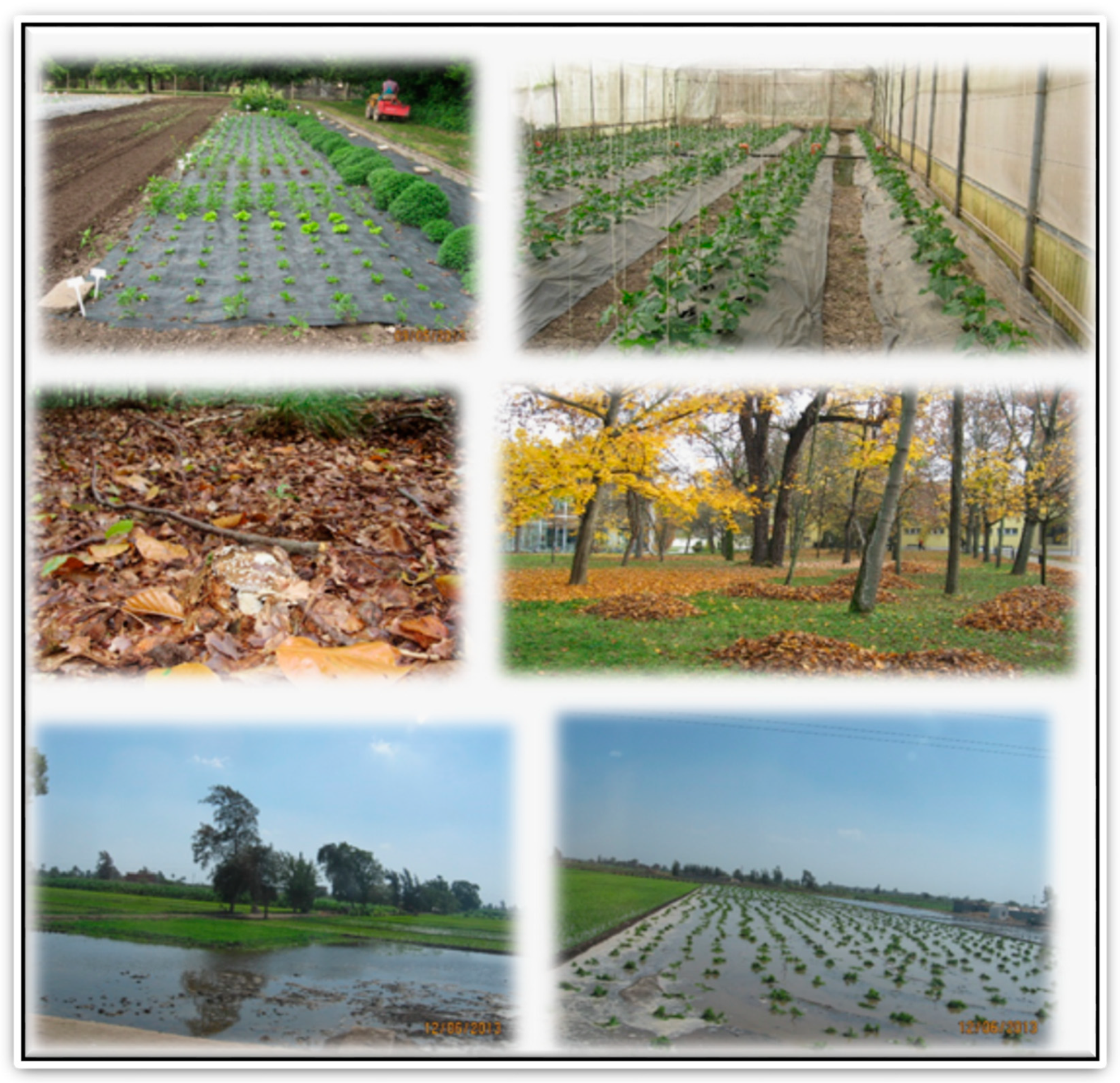 Sustainability 14 08329 g017 Sustainability 14 08329 g017