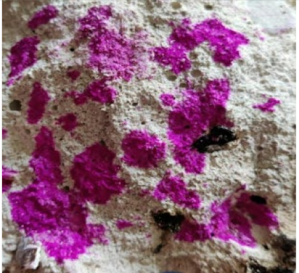 Sustainability 14 08355 i006