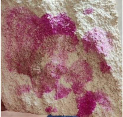 Sustainability 14 08355 i008