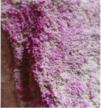 Sustainability 14 08355 i014