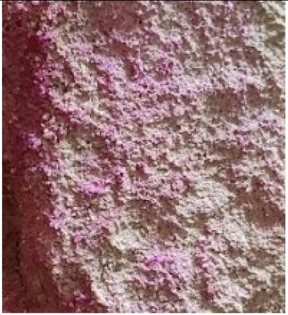 Sustainability 14 08355 i015