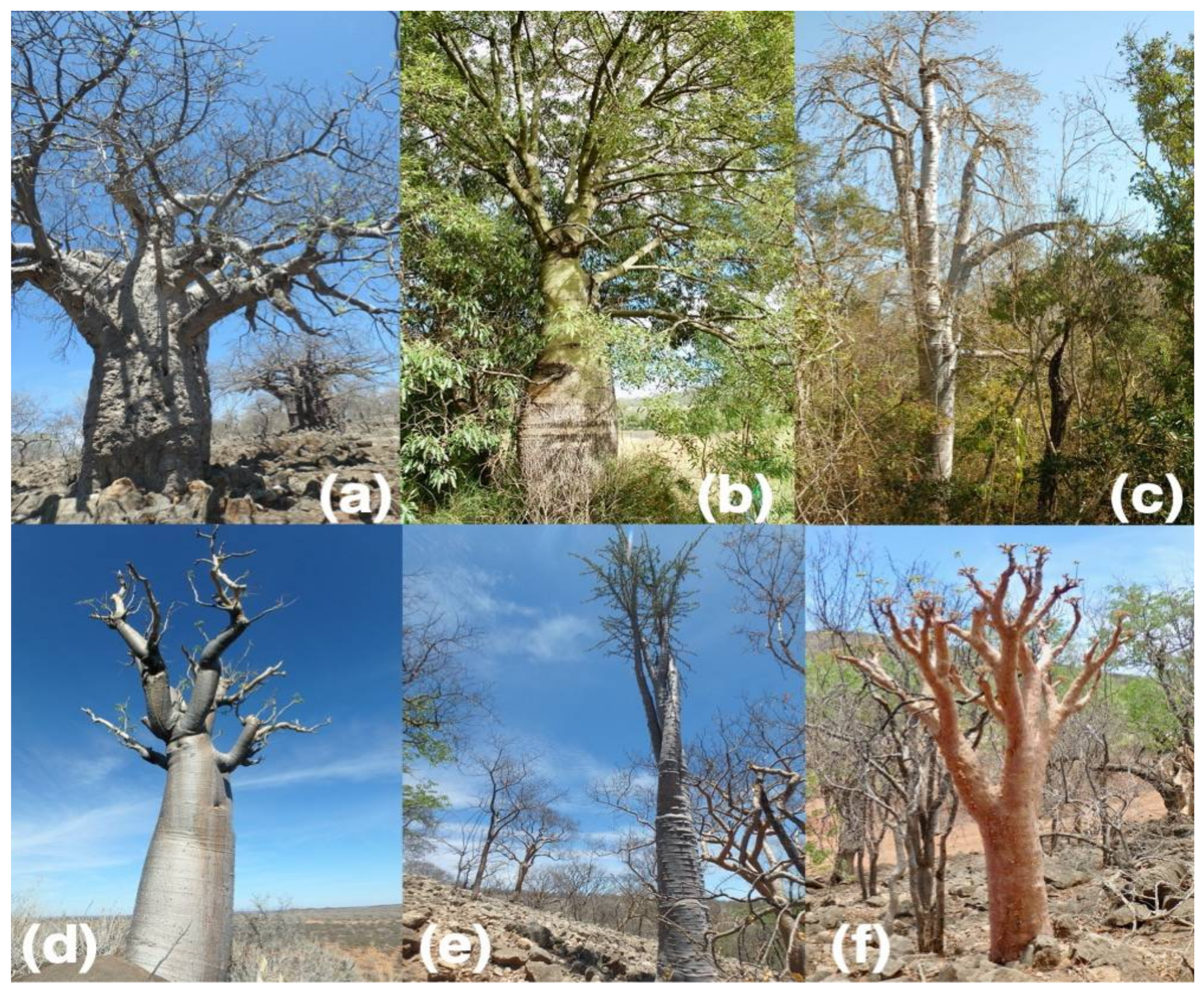 Sustainability 14 08362 g001