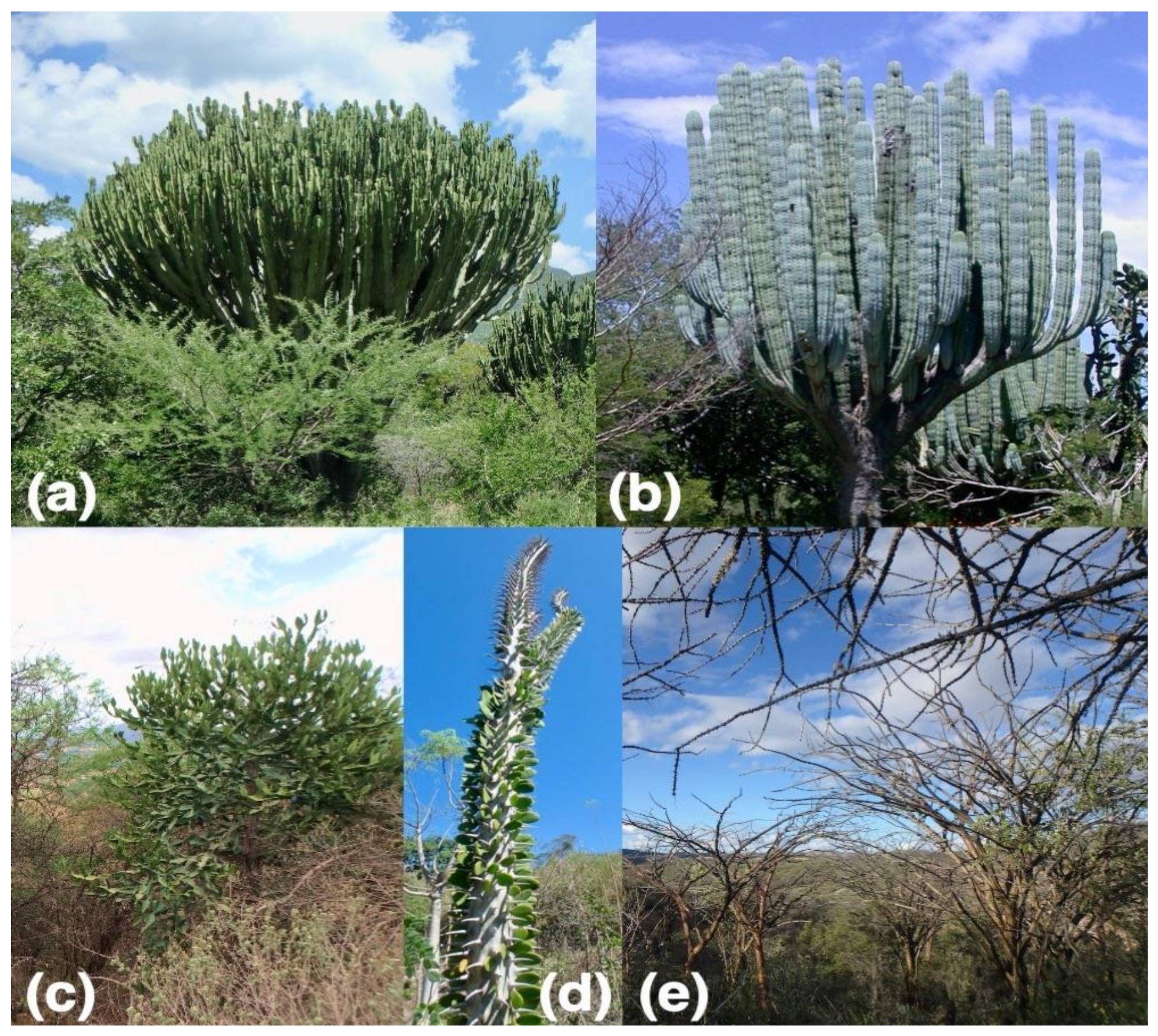 Sustainability 14 08362 g002