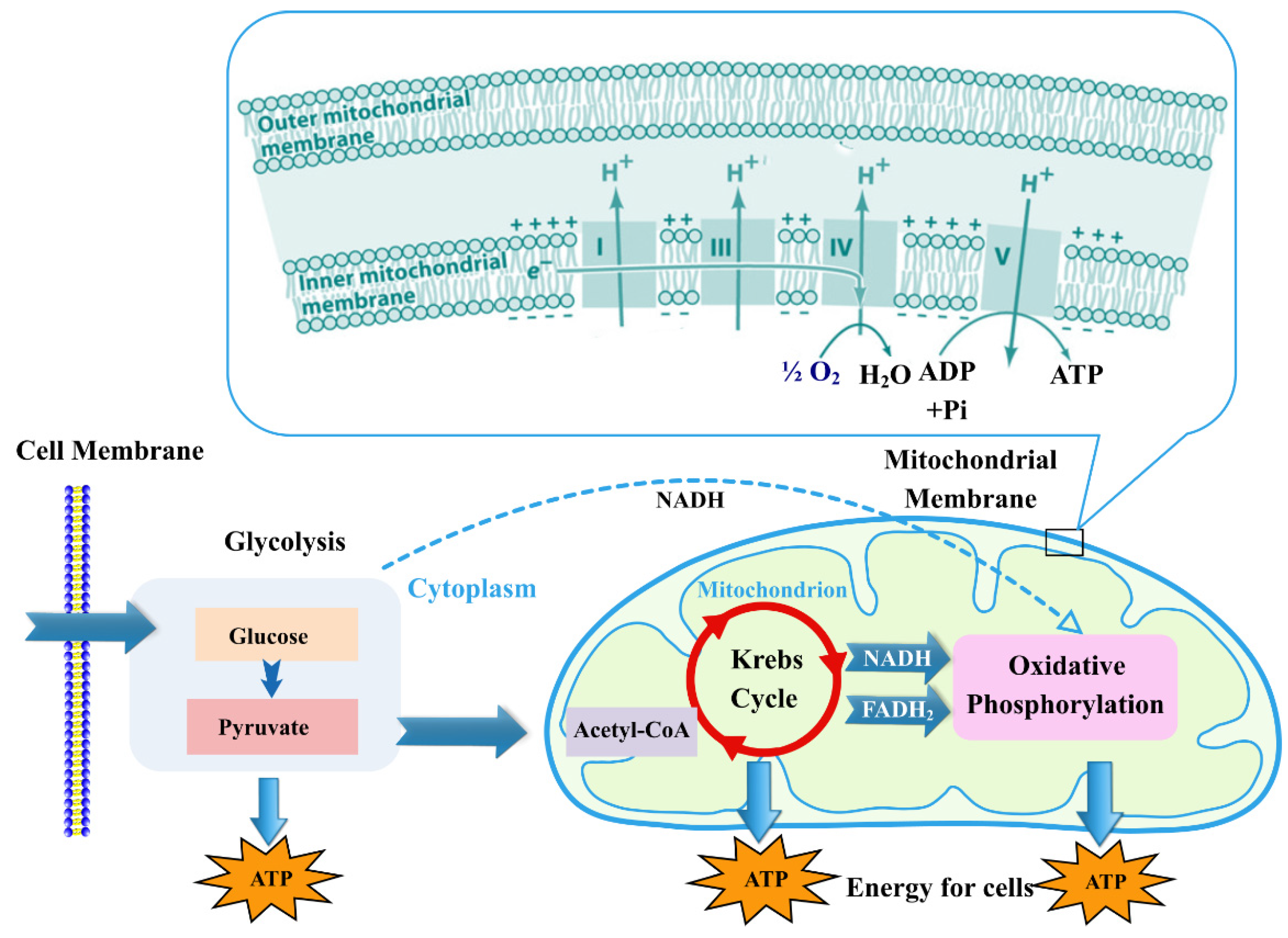 Sustainability 14 08376 g001