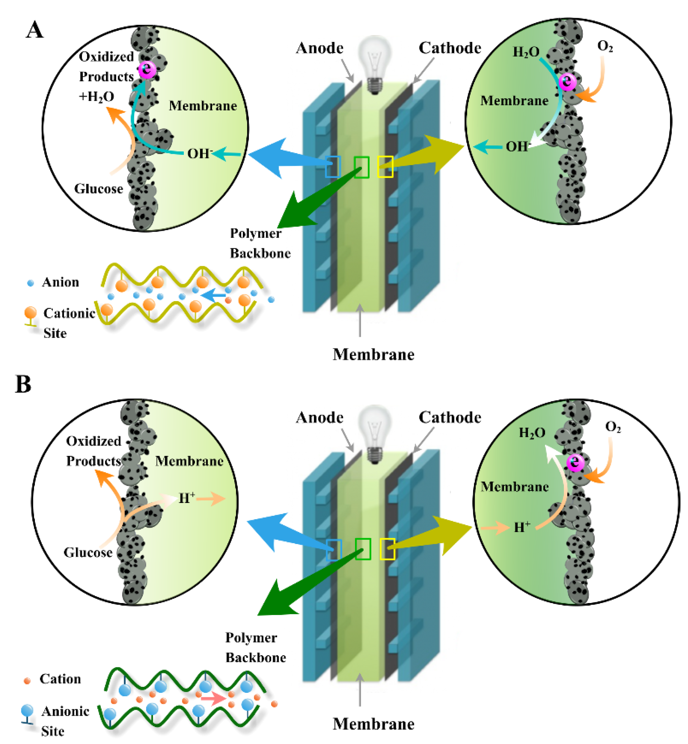 Sustainability 14 08376 g003