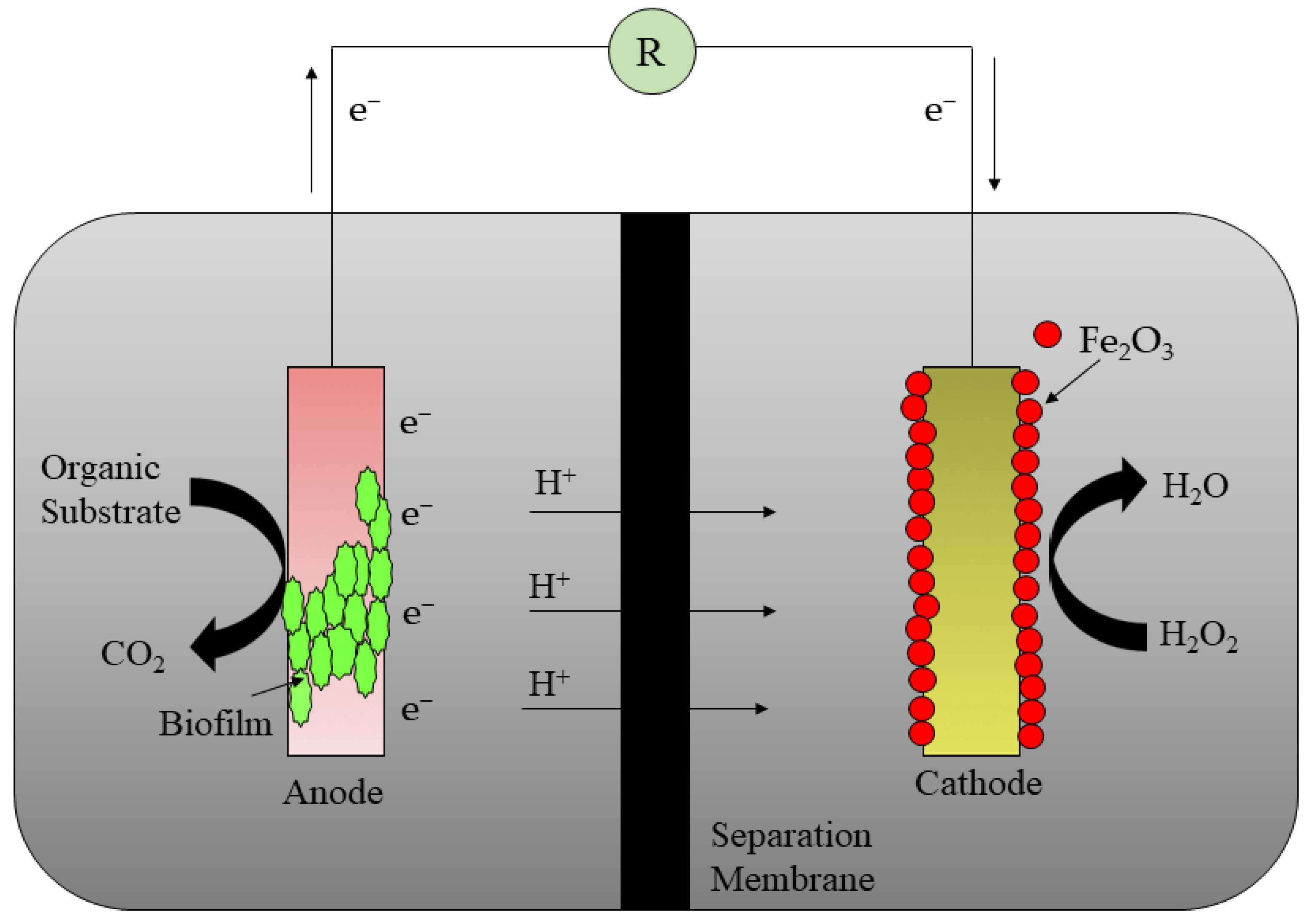 Sustainability 14 08379 g002