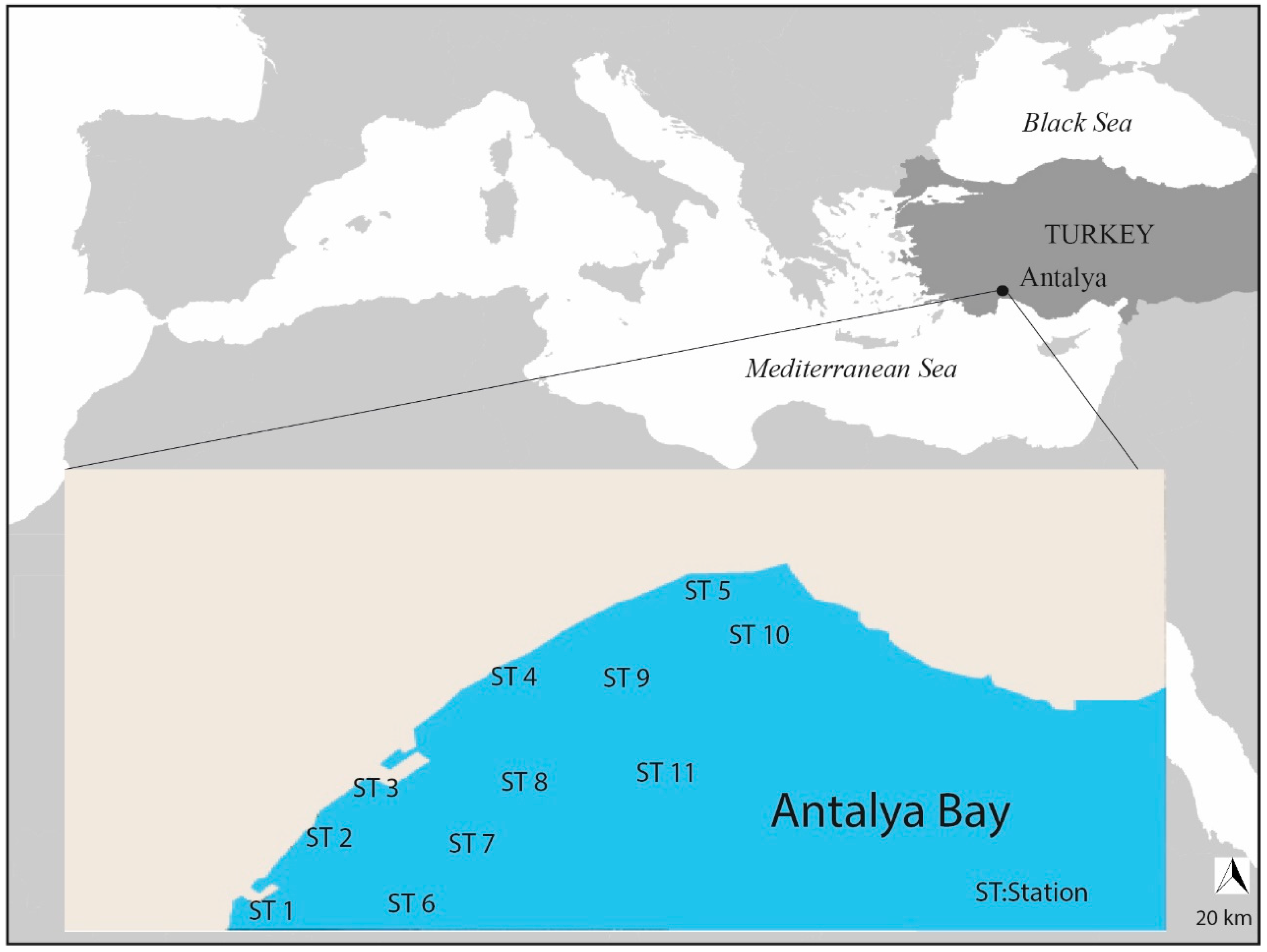 Sustainability 14 08408 g001