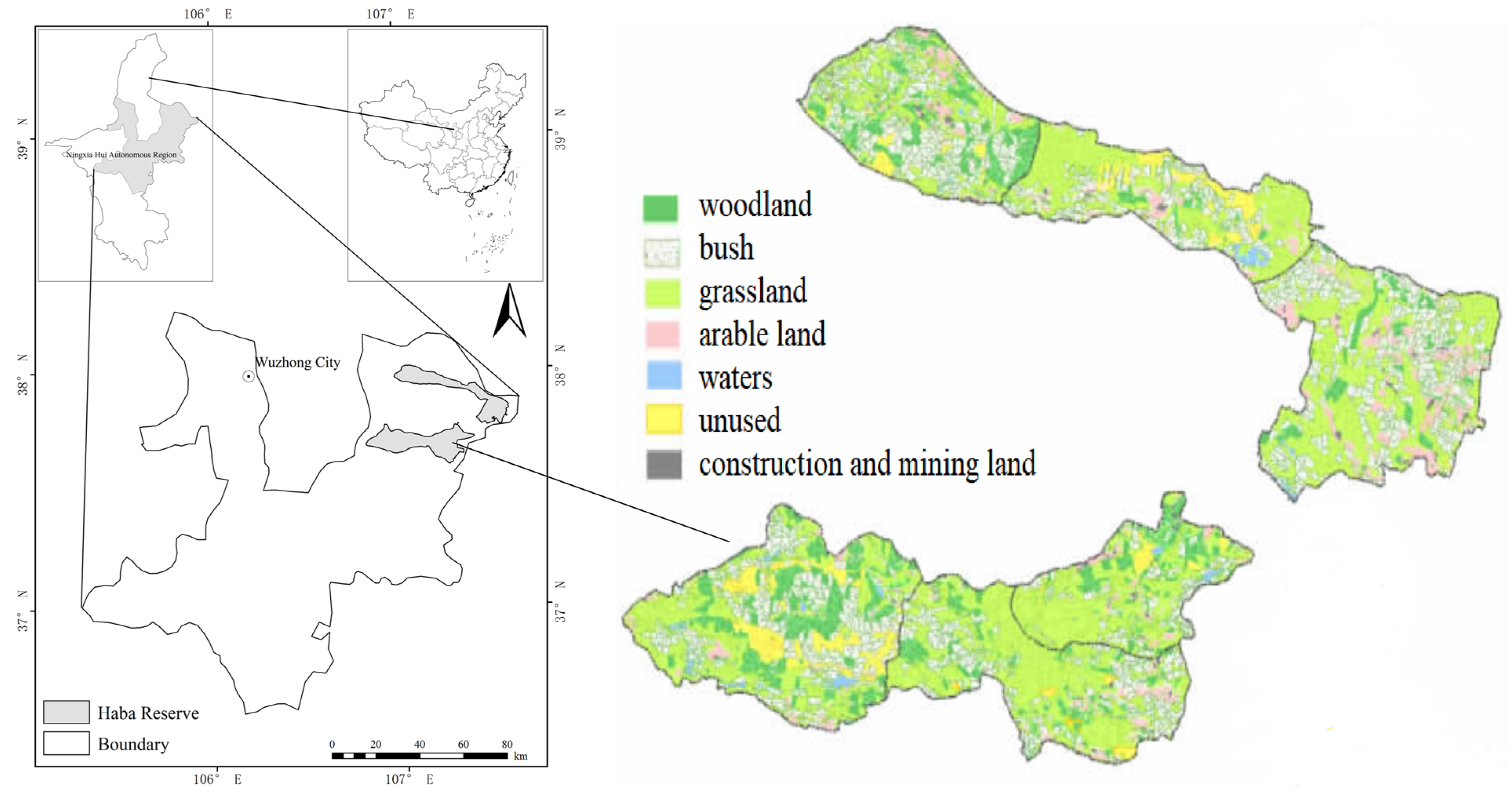 Features of Plant Community and Driving Forces of Plant