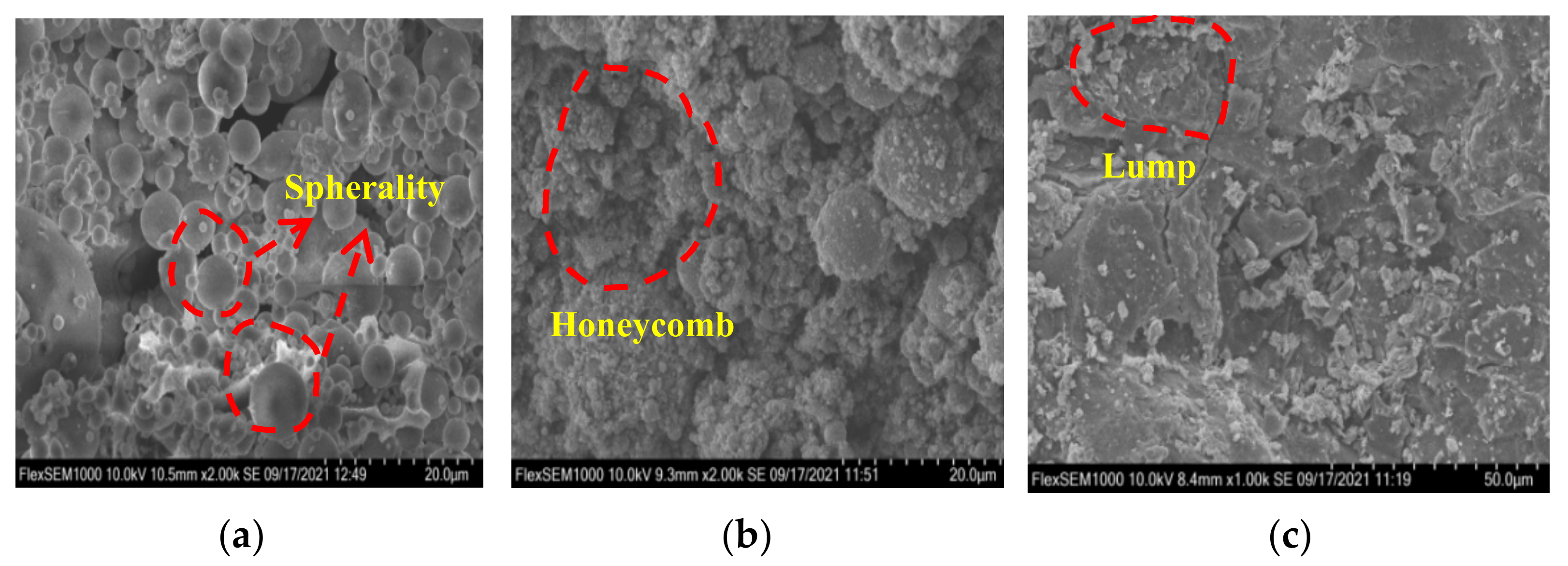 Sustainability 14 08530 g004