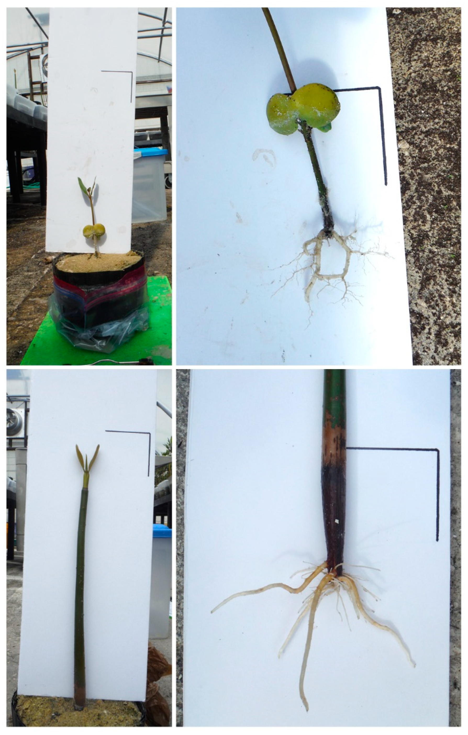 Sustainability 14 08605 g004