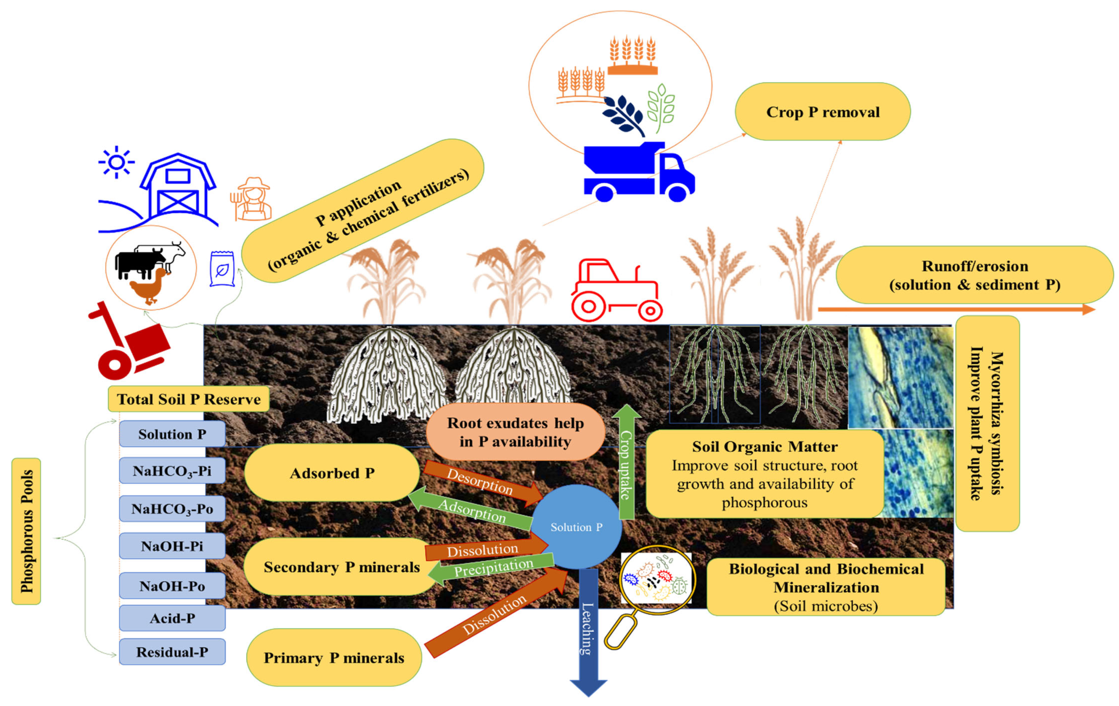 Sustainability 14 08629 g001