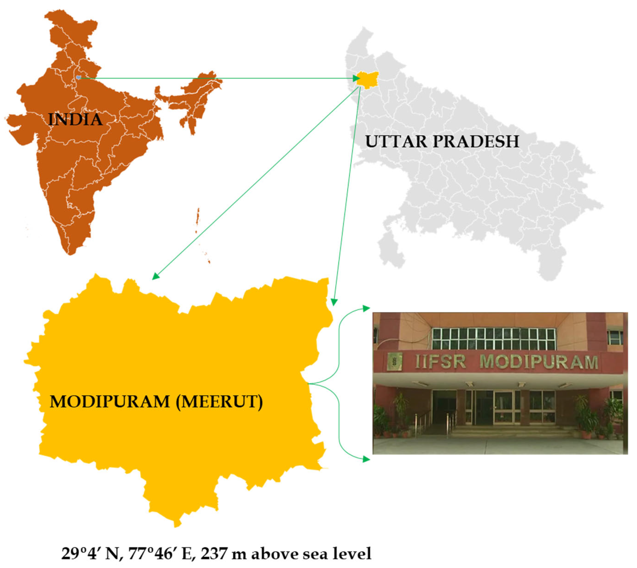 Sustainability 14 08629 g002