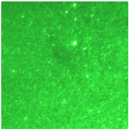 Behavior Investigation of Necking Pile with Caps Assisted