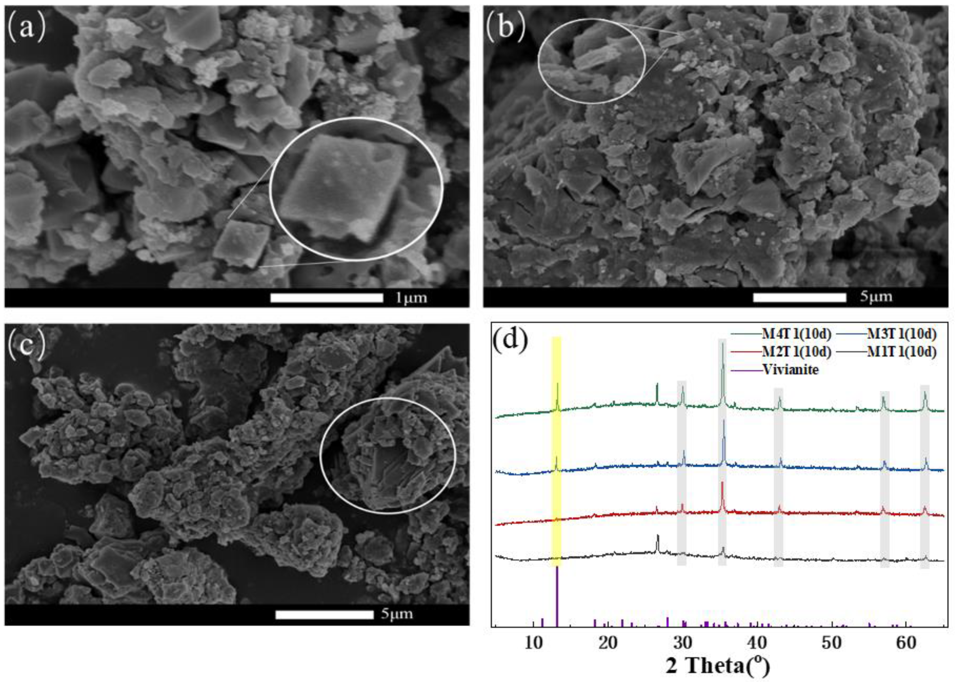 Sustainability 14 08690 g001