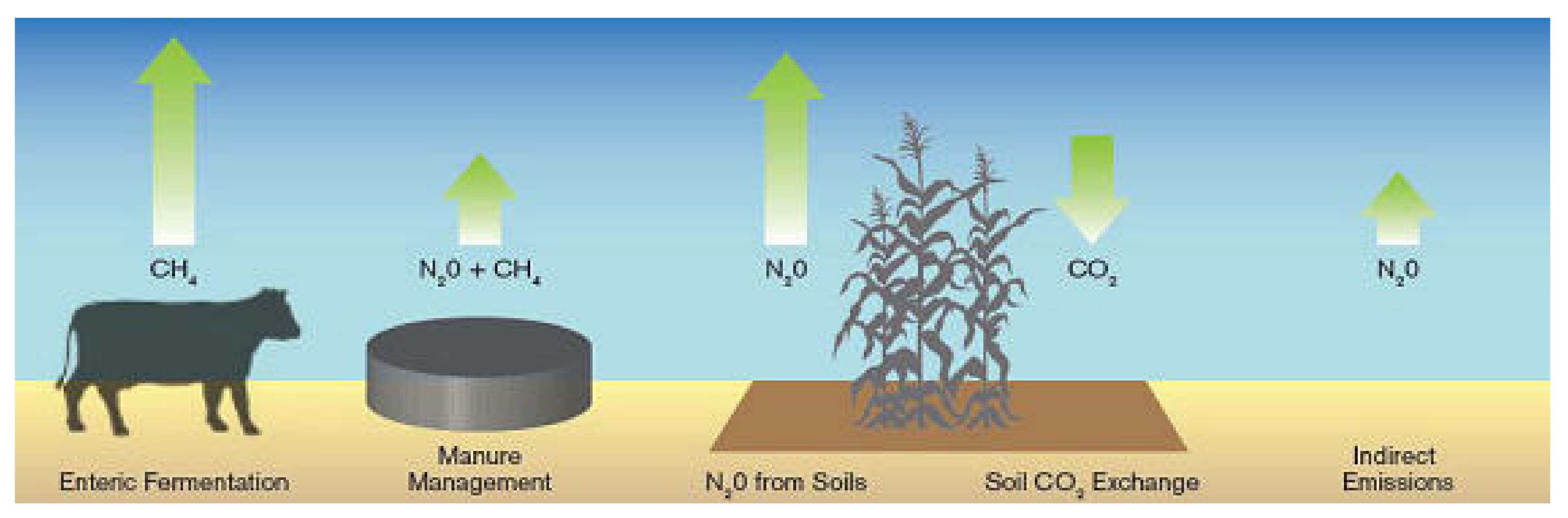 Sustainability 14 08806 g004 550