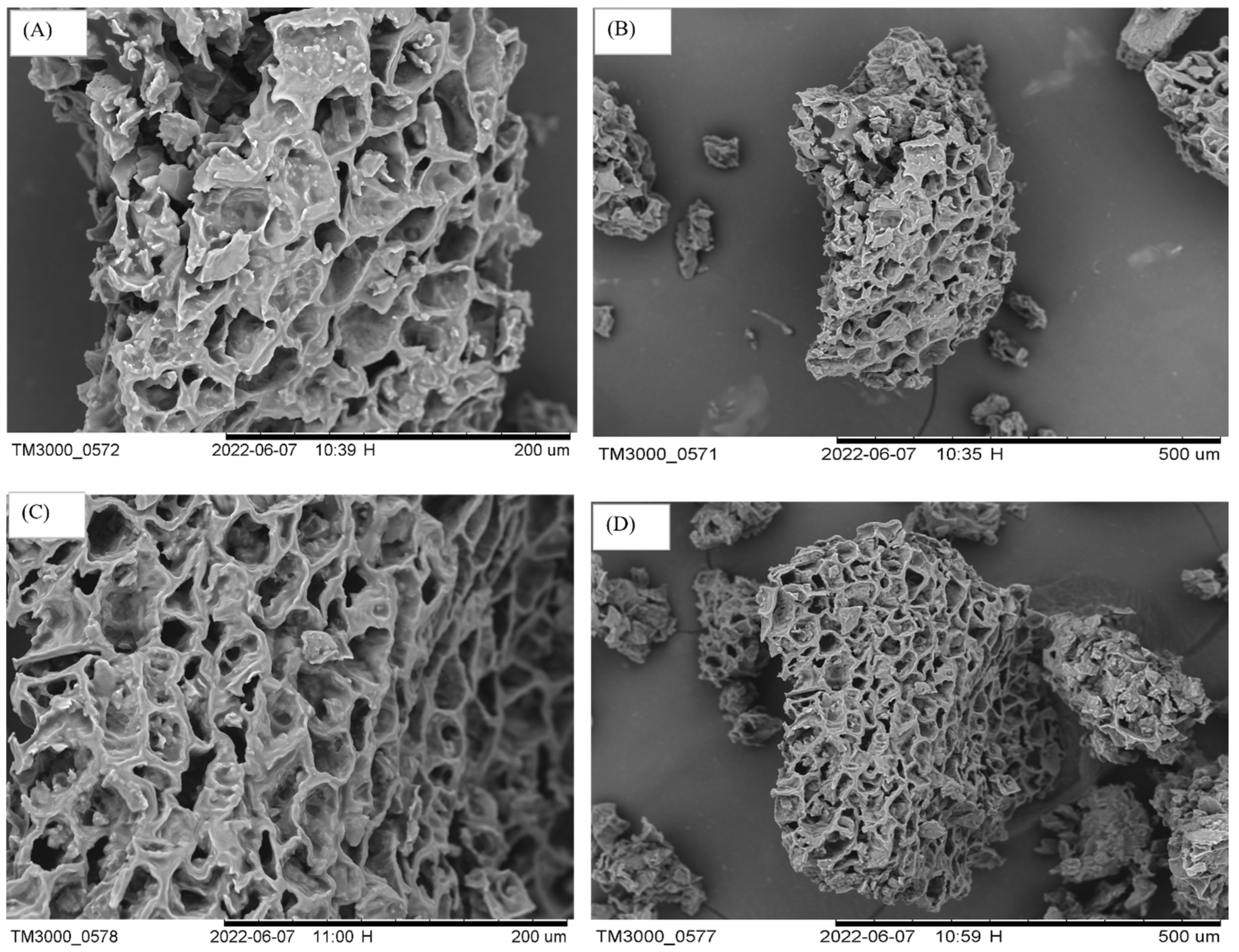 Sustainability 14 08818 g008 550