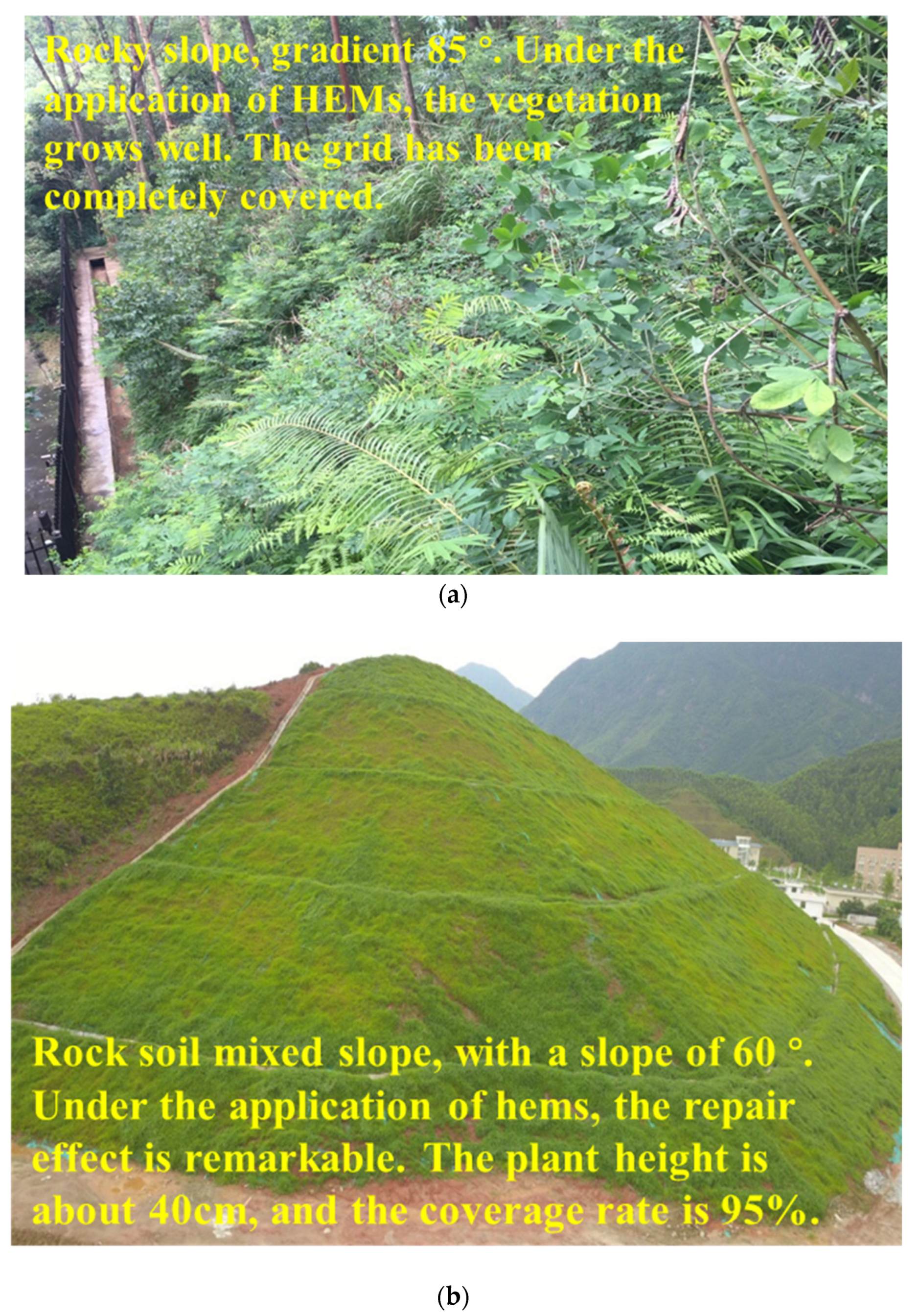 Sustainability 14 08850 g004