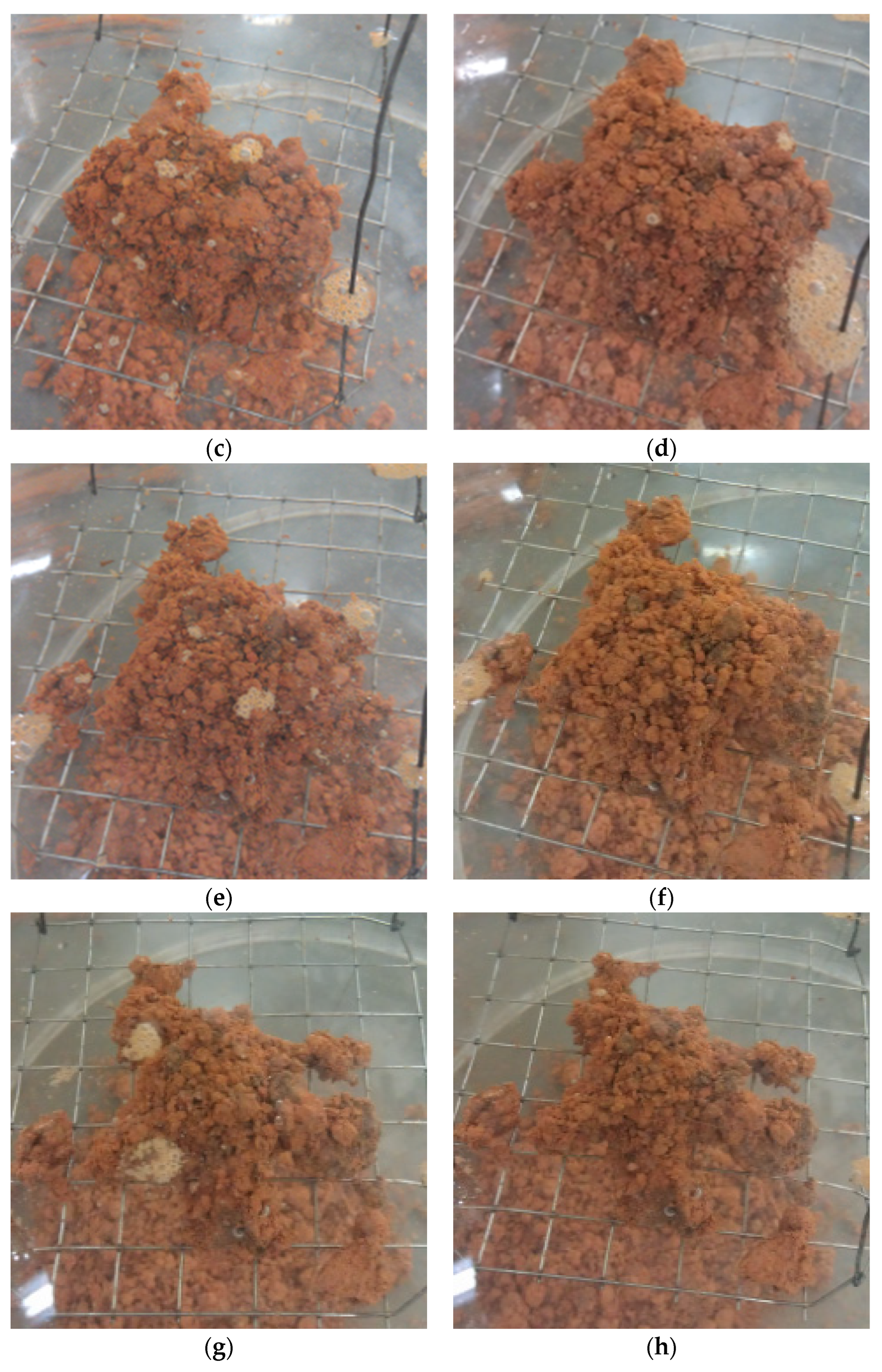 Sustainability 14 08850 g010b