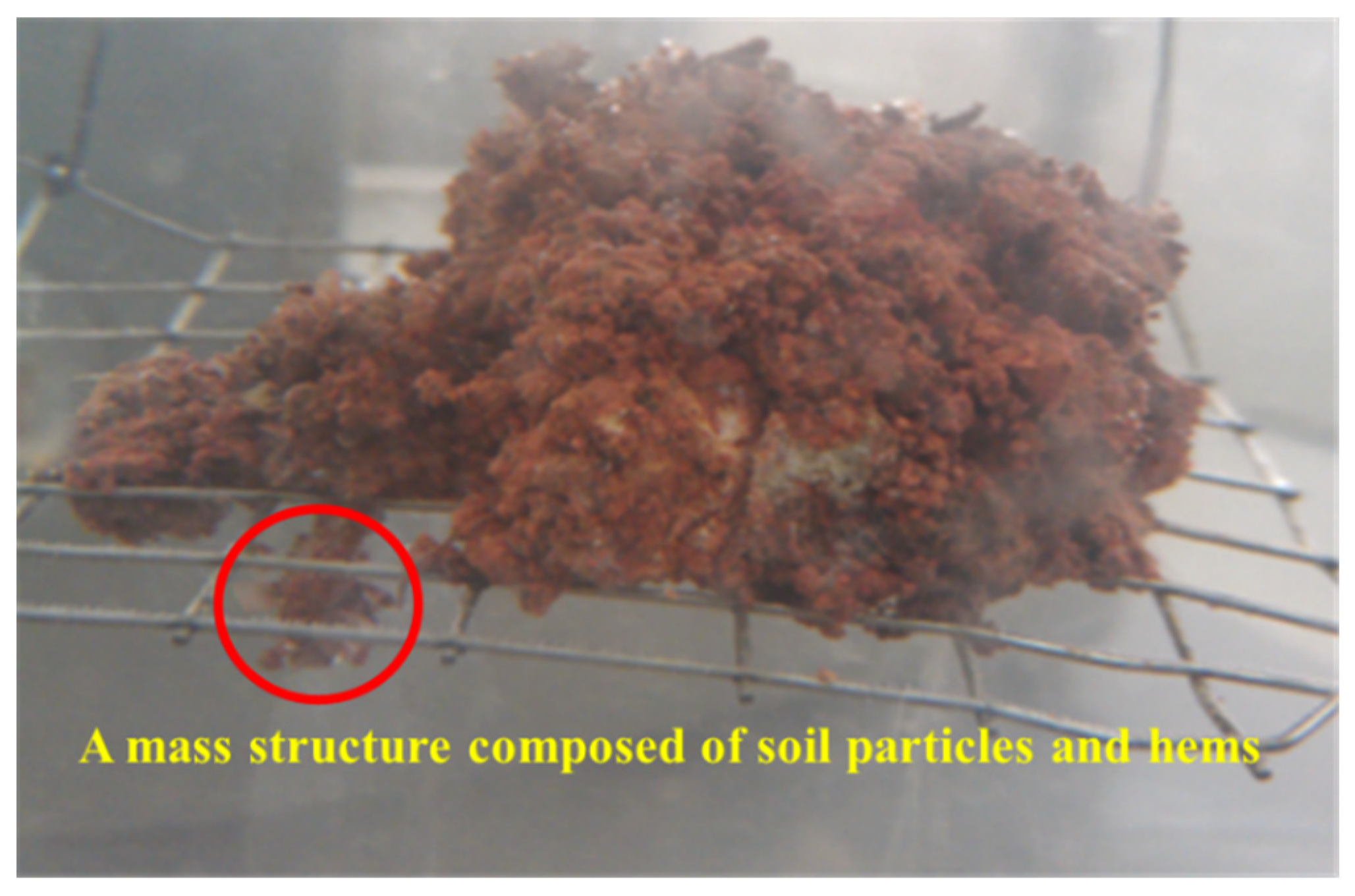 Sustainability 14 08850 g011