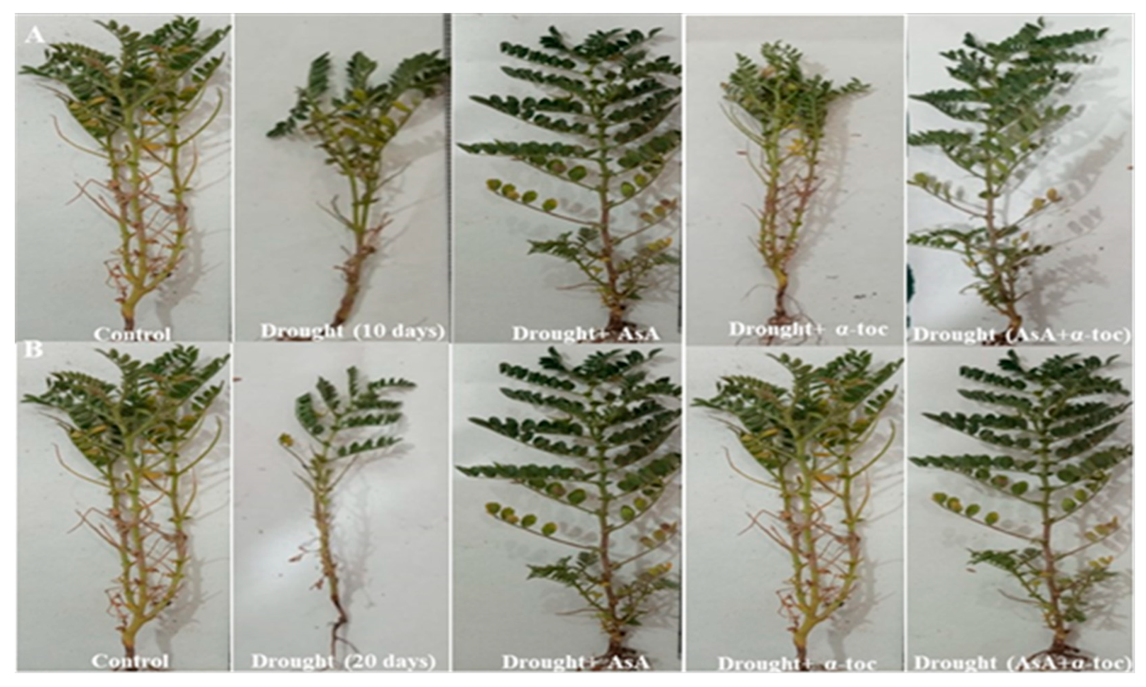 Sustainability 14 08861 g001