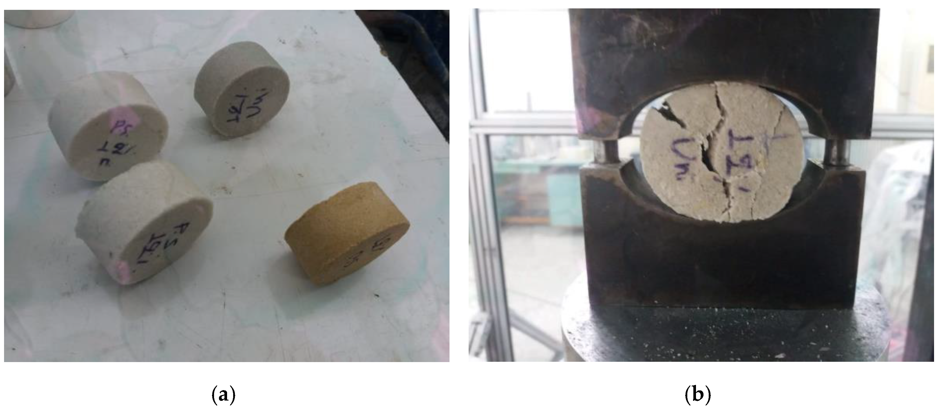 Sustainability 14 08901 g008