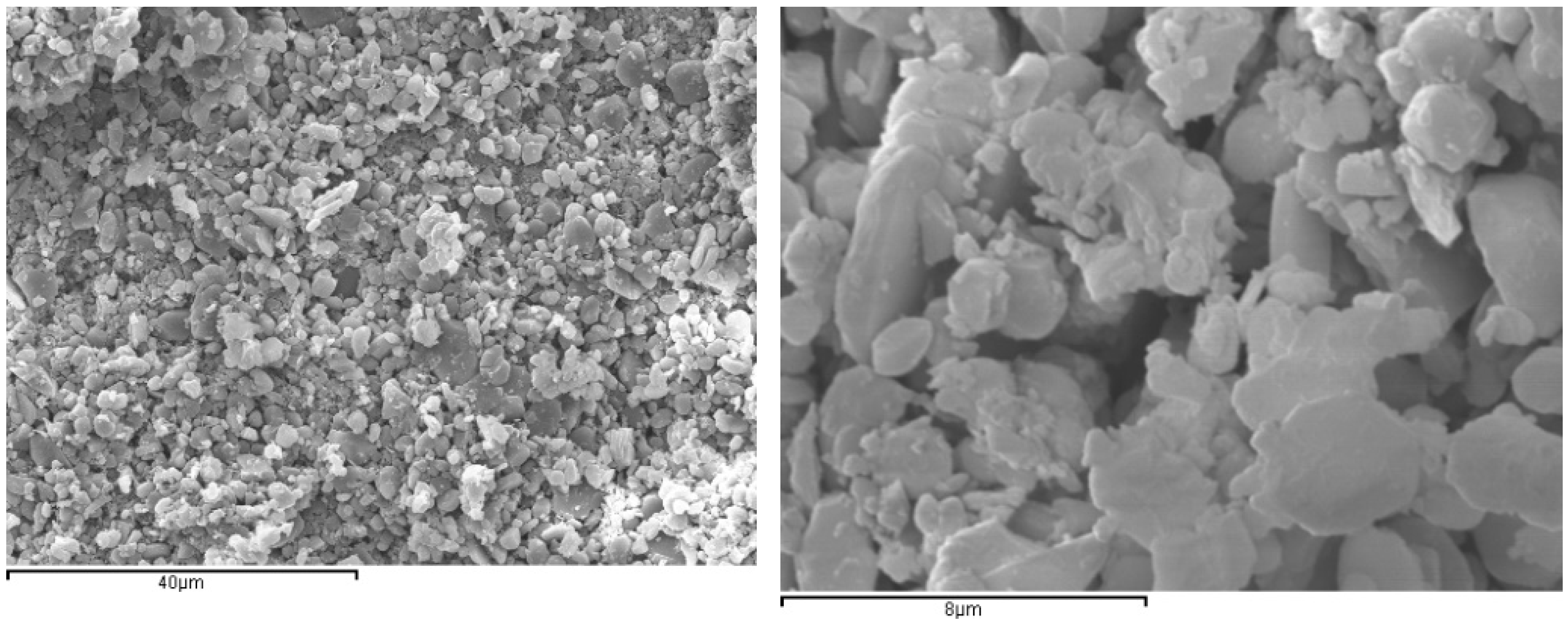 Sustainability 14 08902 g002