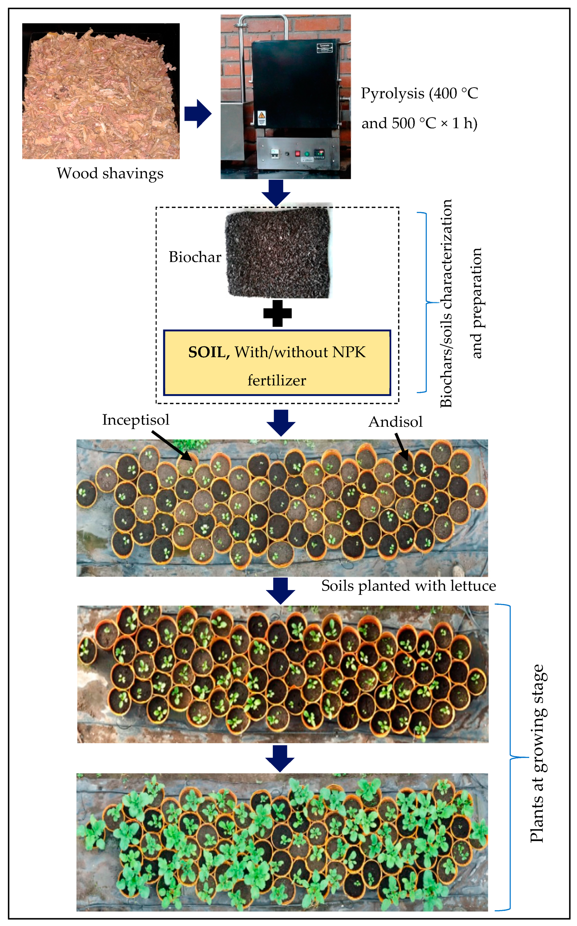Sustainability 14 08912 g001