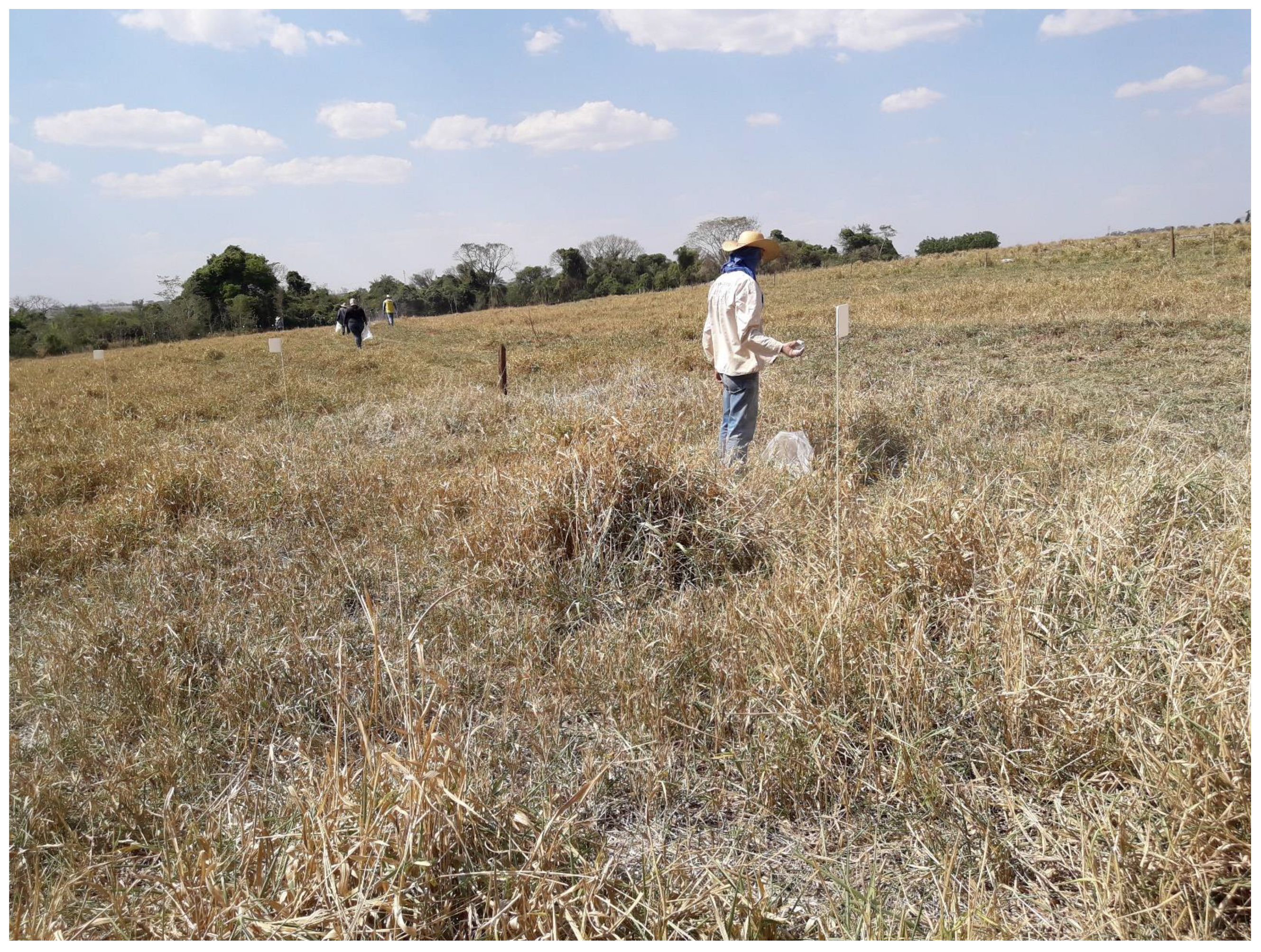 Sustainability 14 08926 g002 550