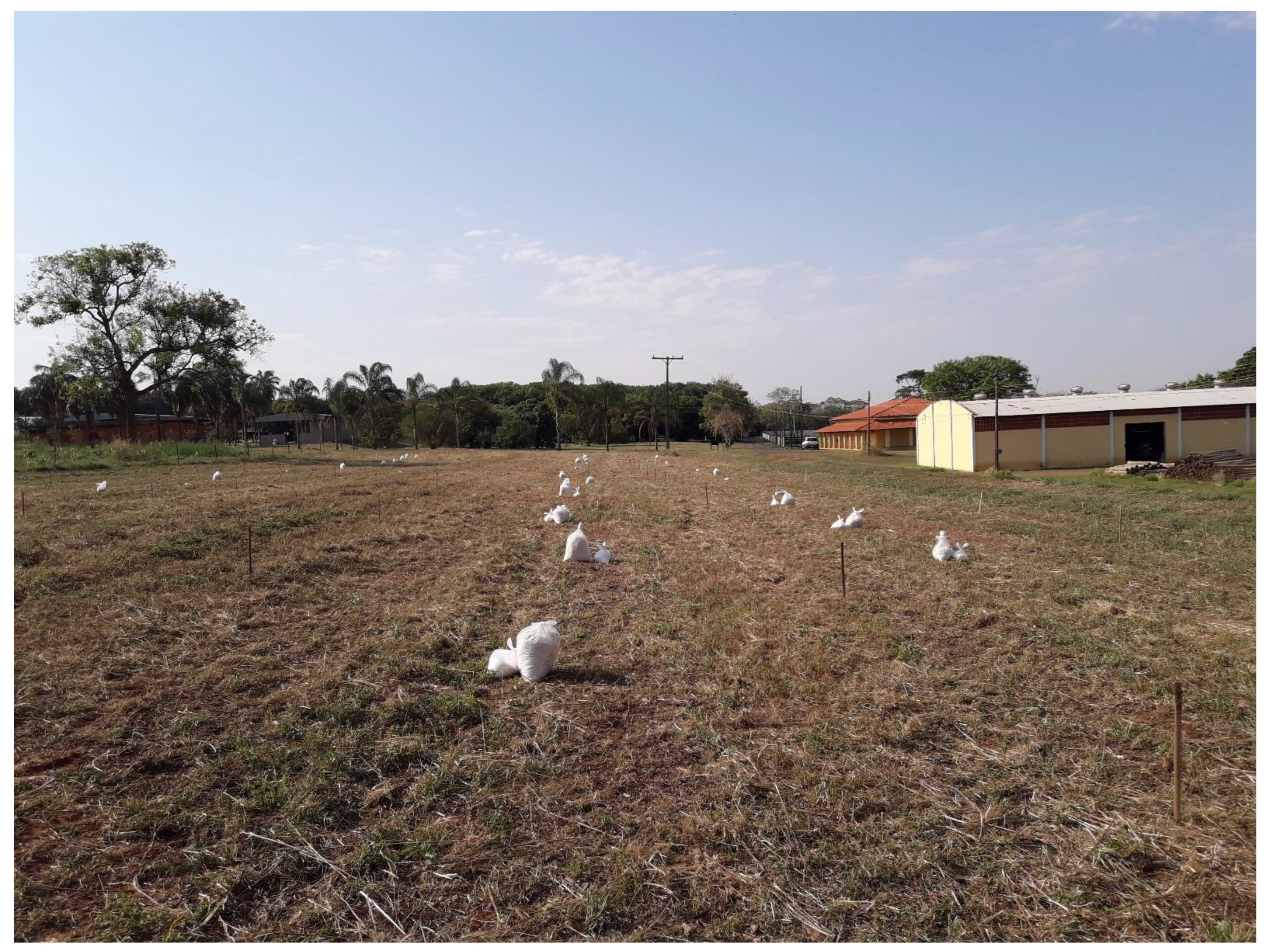 Sustainability 14 08926 g003 550