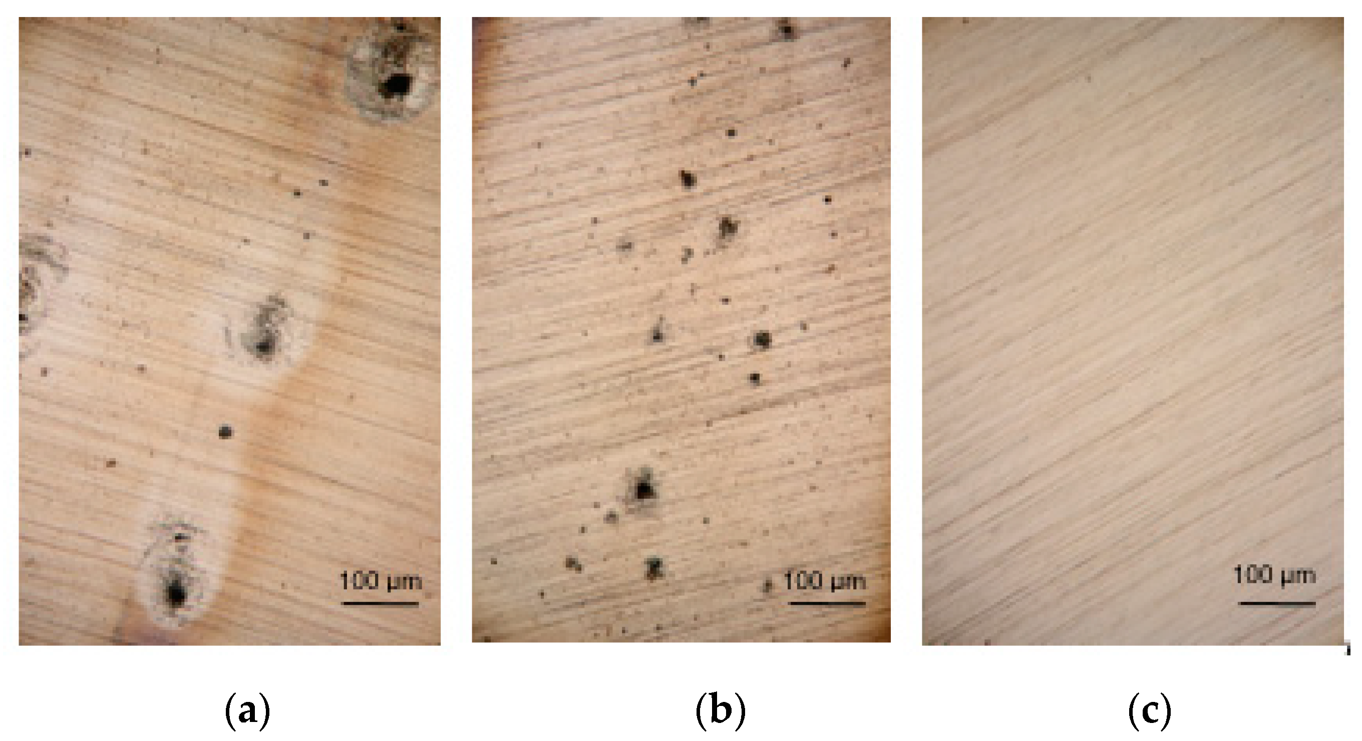 Sustainability 14 08935 g002 550