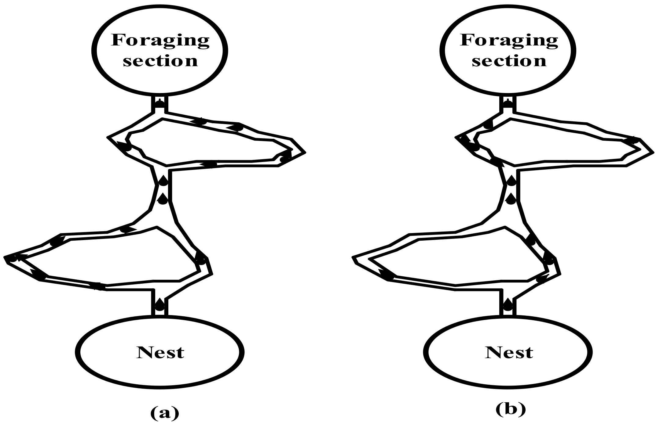 Sustainability 14 08986 g004 550
