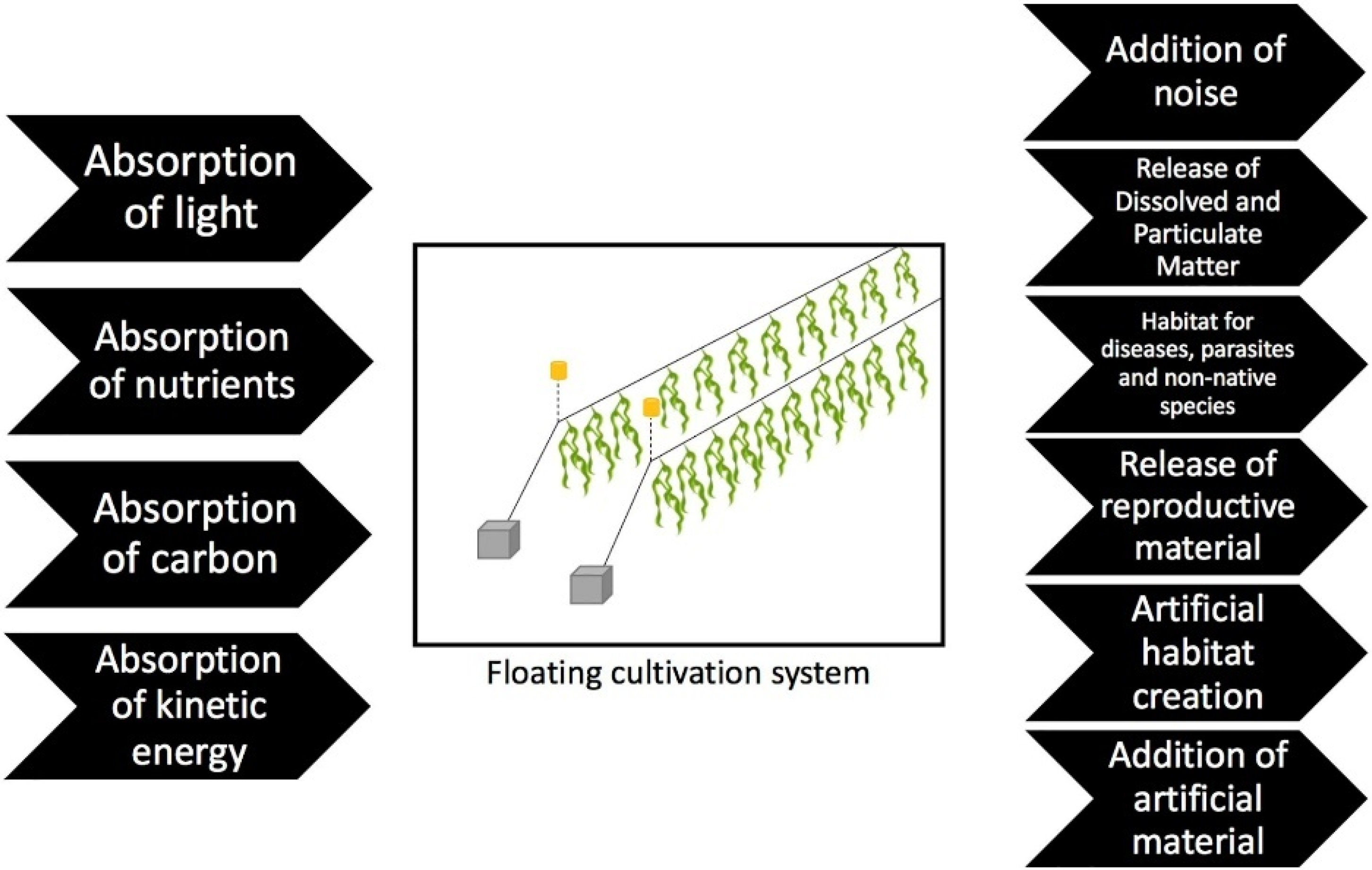 Sustainability 14 09011 g002