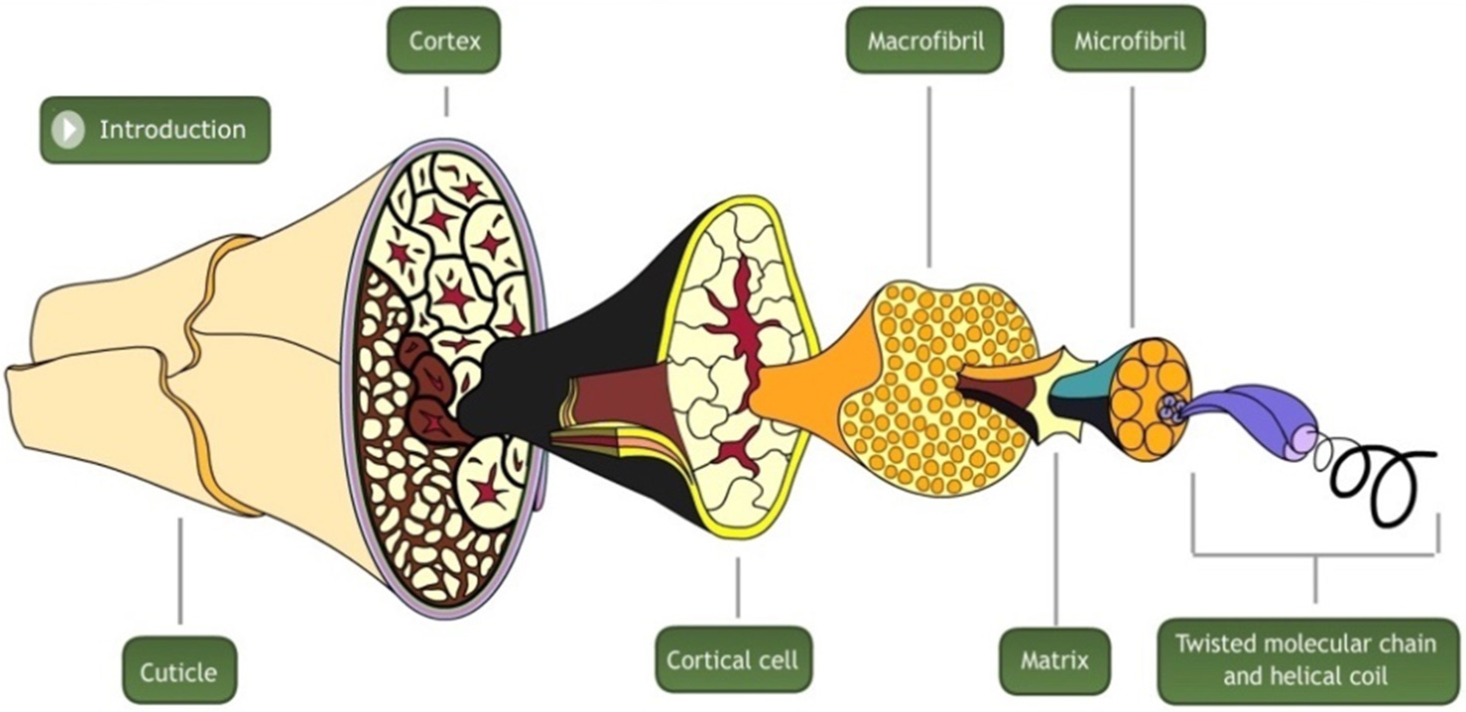 Sustainability 14 09011 g003