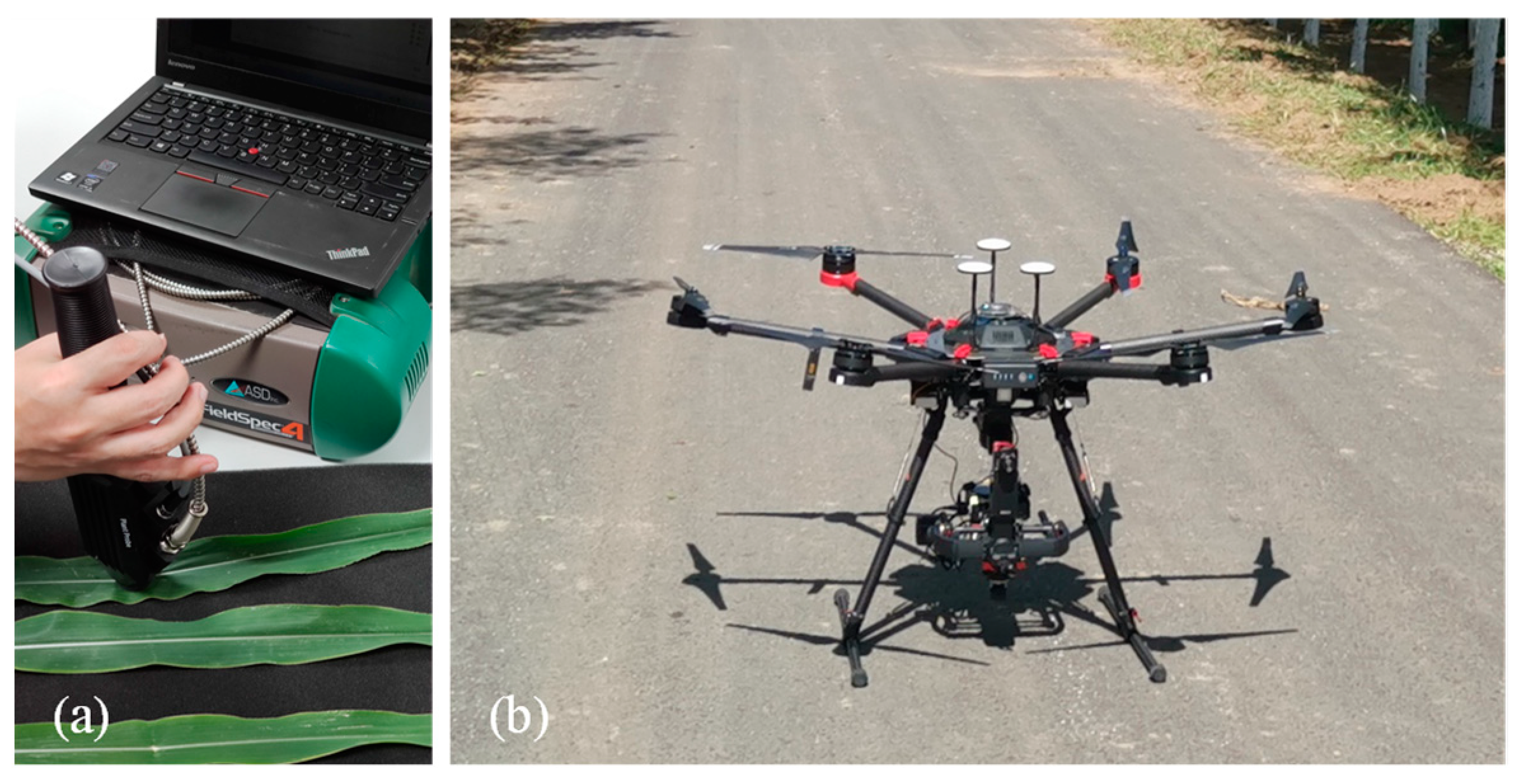 Sustainability 14 09039 g001