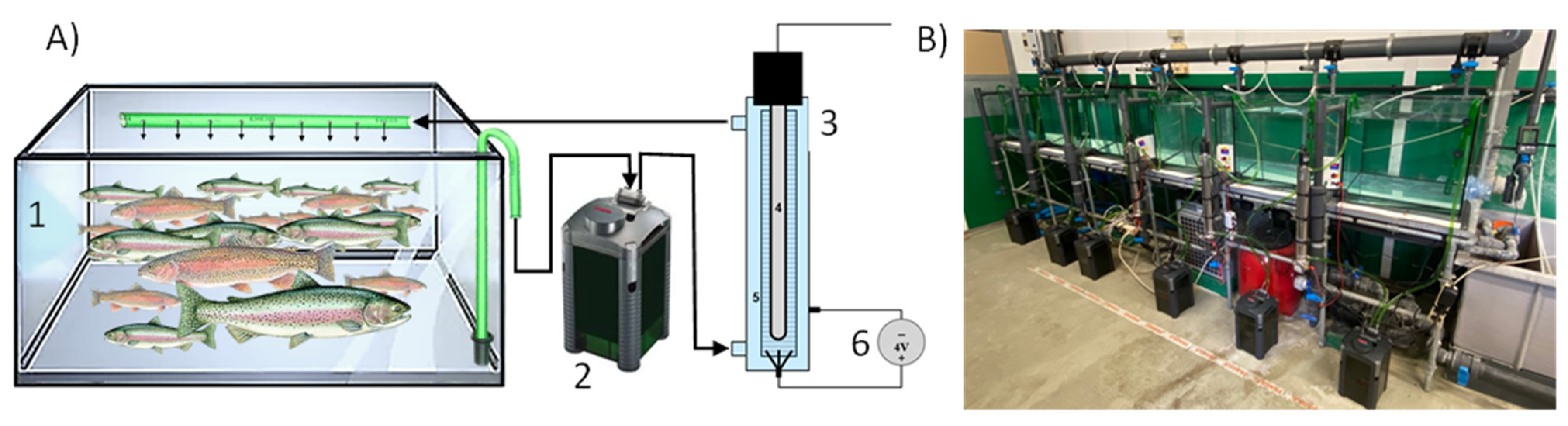 Sustainability 14 09067 g001 550