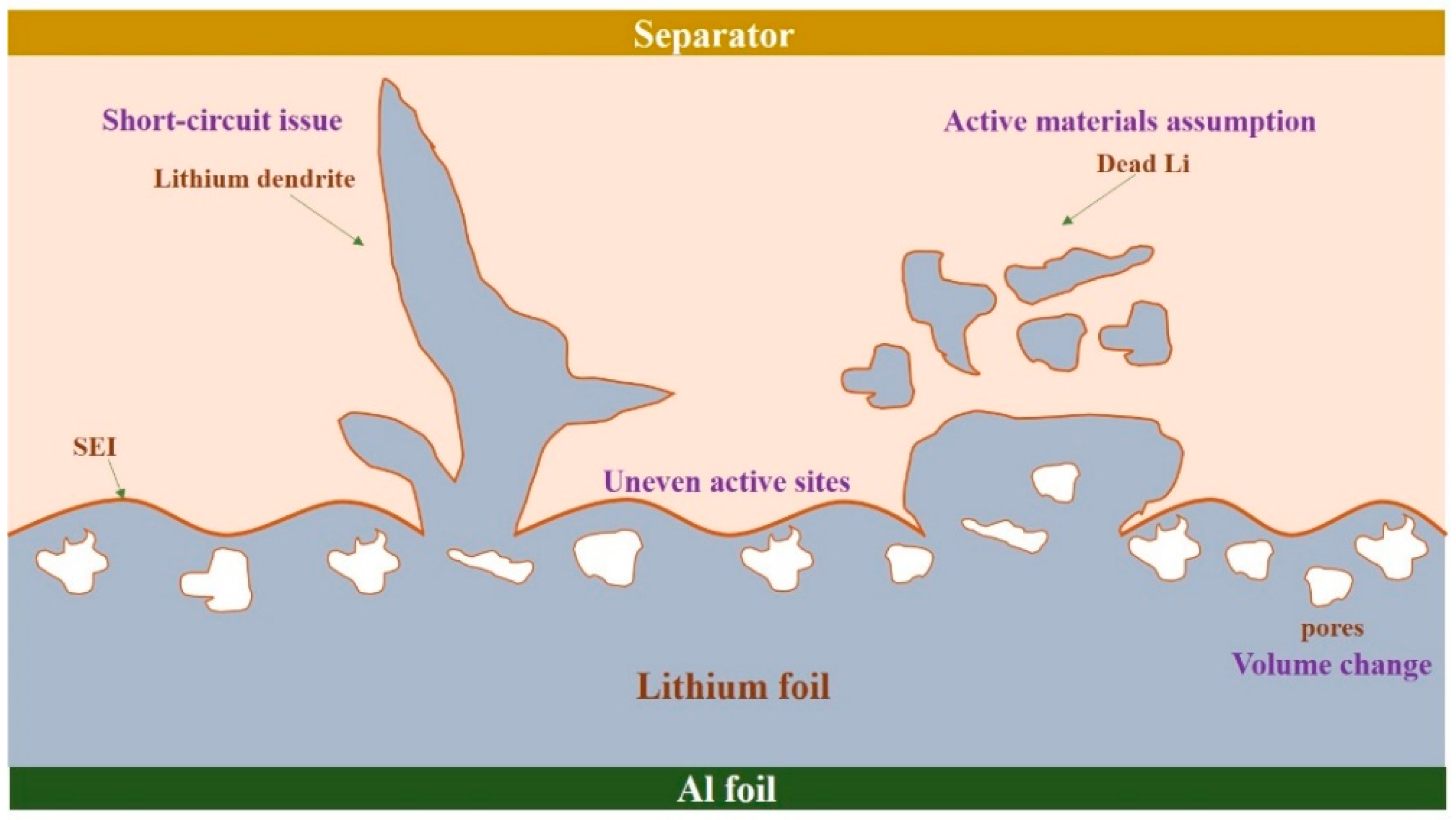 Sustainability 14 09090 g007 Sustainability 14 09090 g007