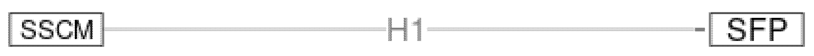 Sustainability 14 09099 g003