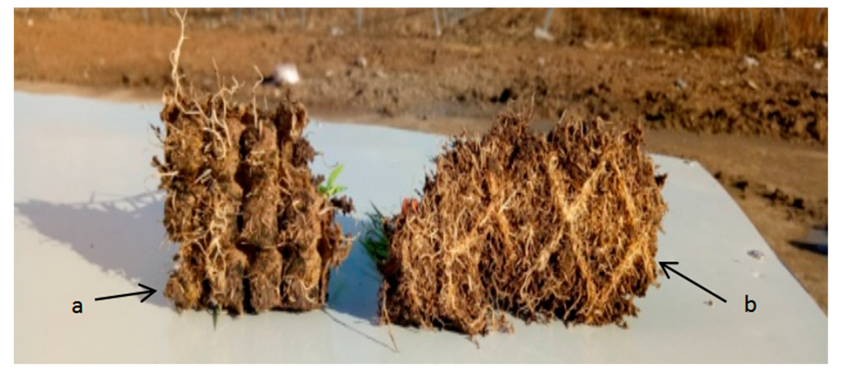 Sustainability 14 09101 g012 550