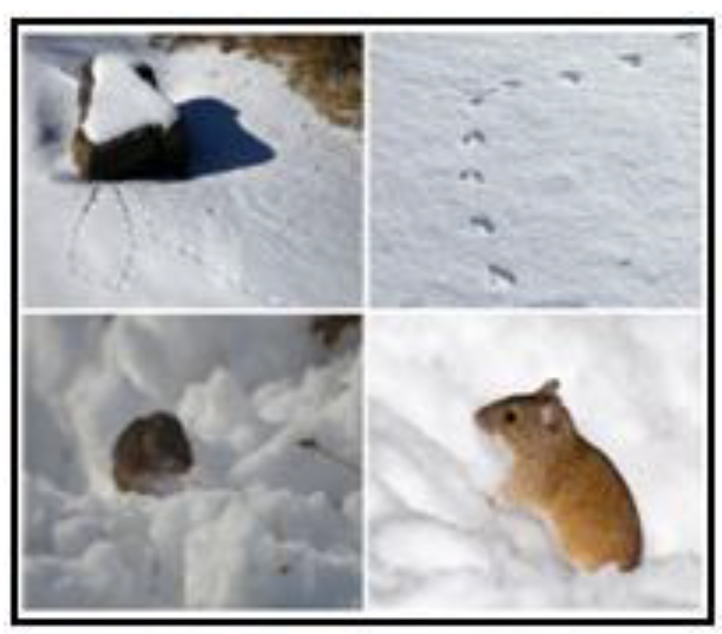 Sustainability 14 09233 g002