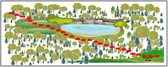 Surveillance Strategies of Rodents in Agroecosystems, Forestry and ...