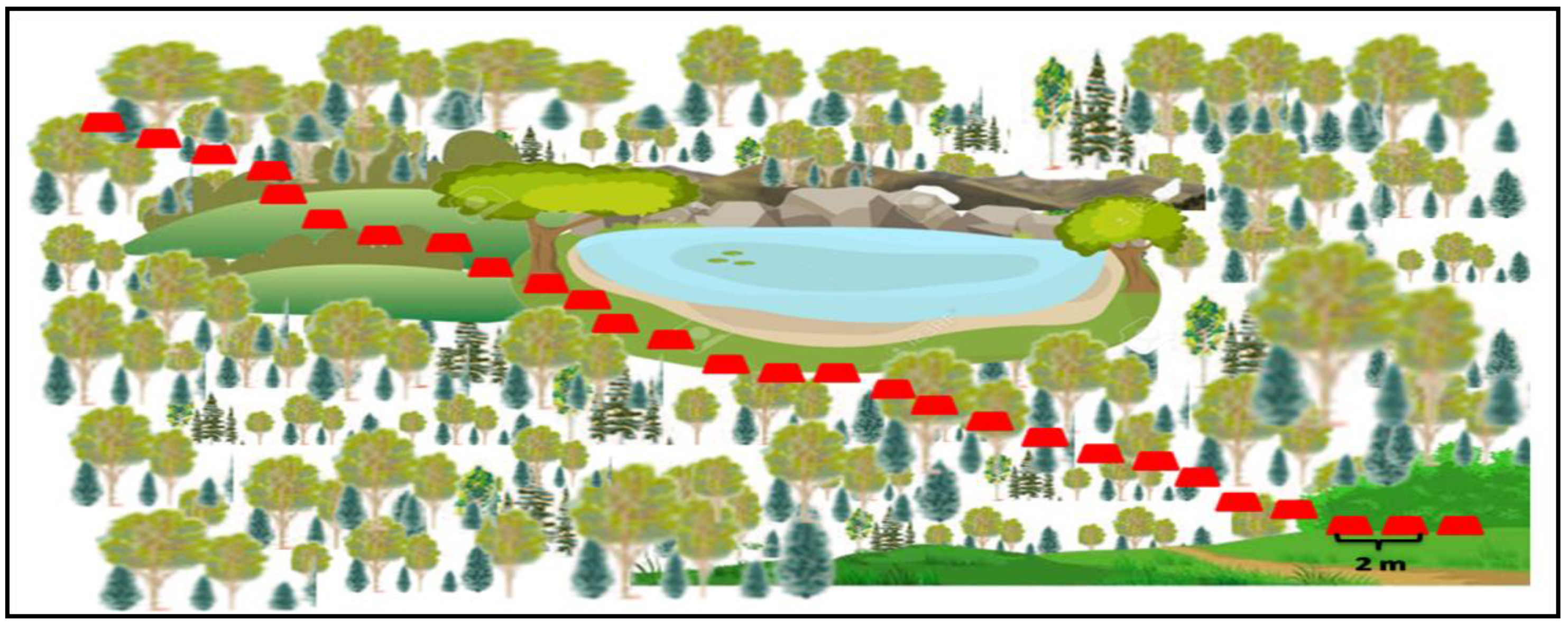 Sustainability 14 09233 g006