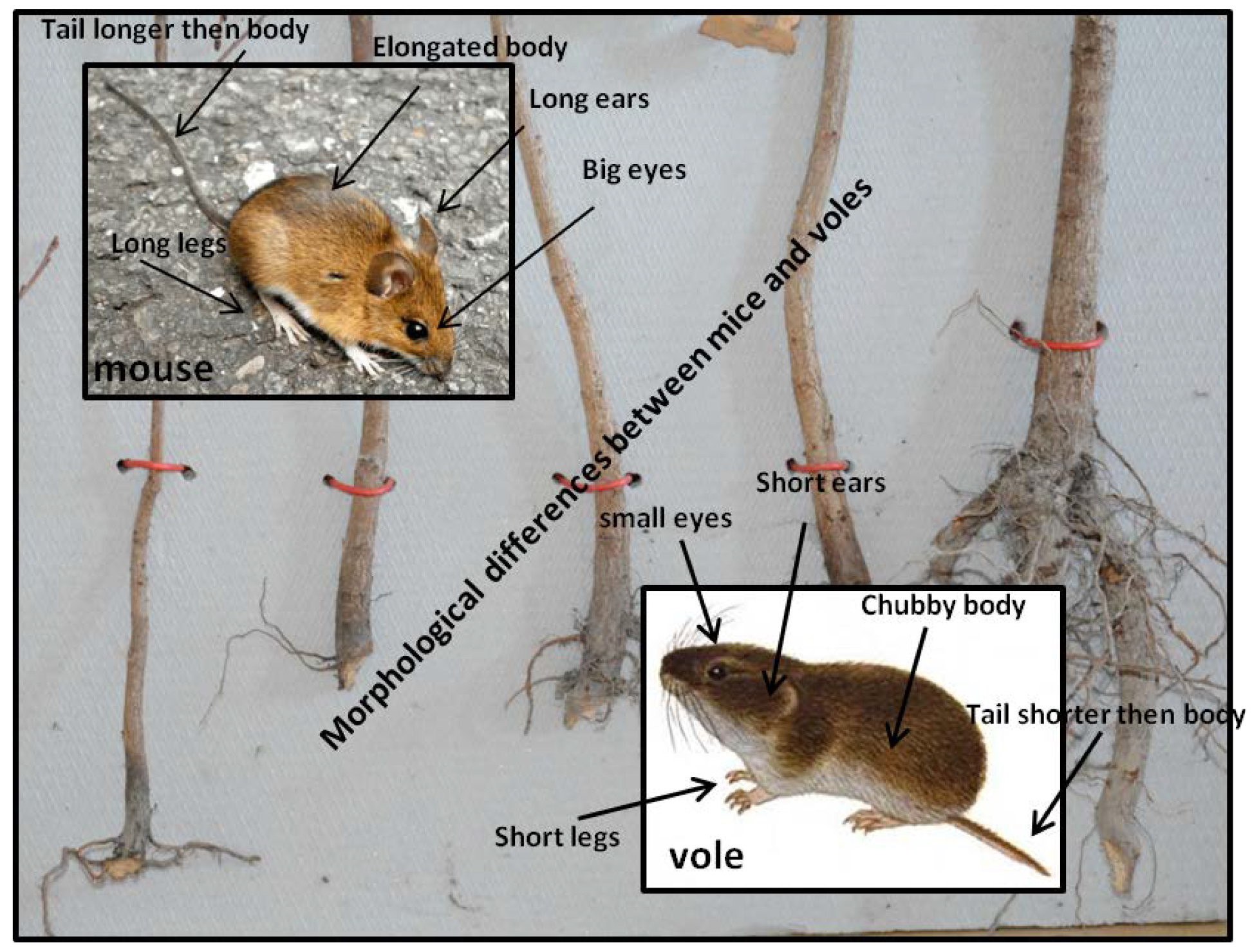 Sustainability 14 09233 g007