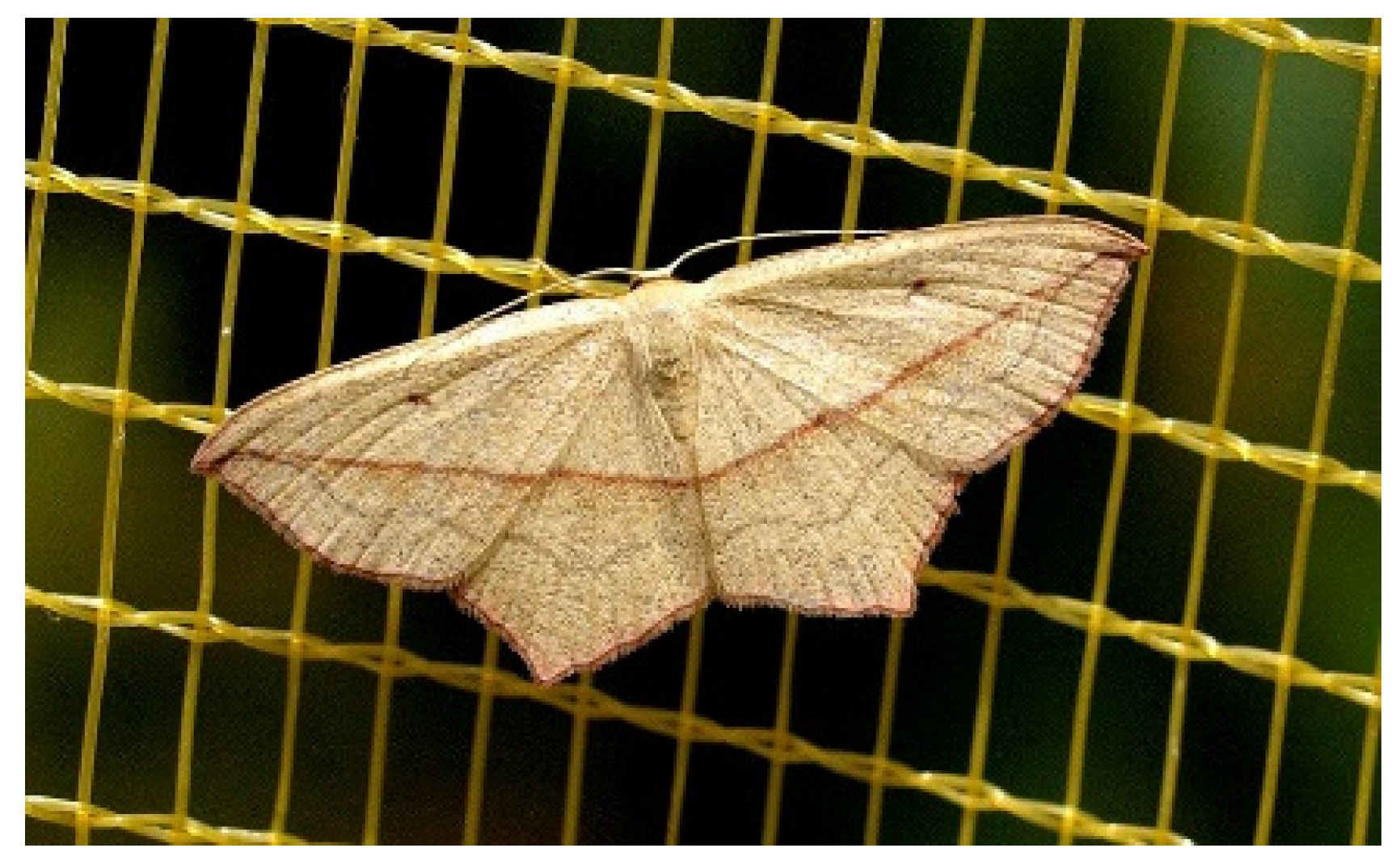 Sustainability 14 09264 g001 Sustainability 14 09264 g001