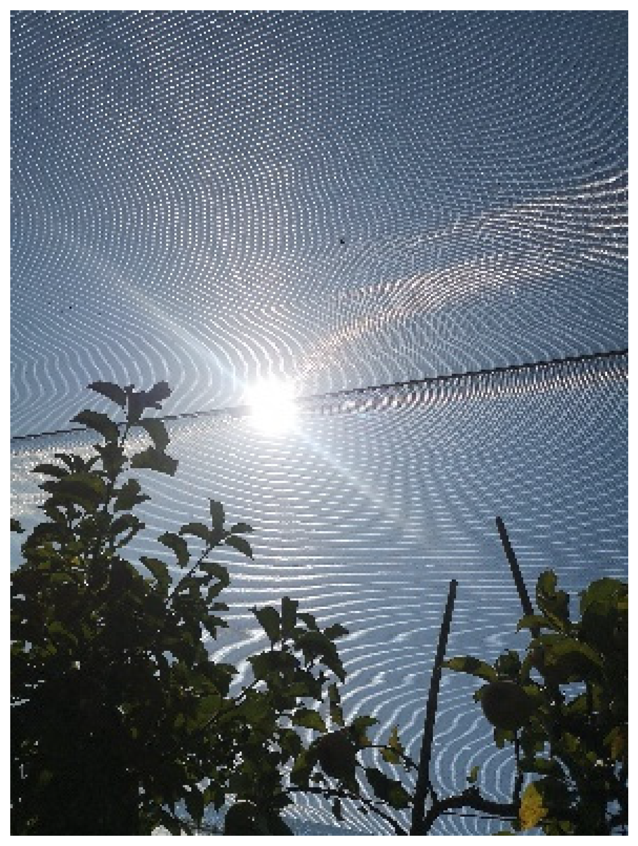 Sustainability 14 09264 g003 Sustainability 14 09264 g003