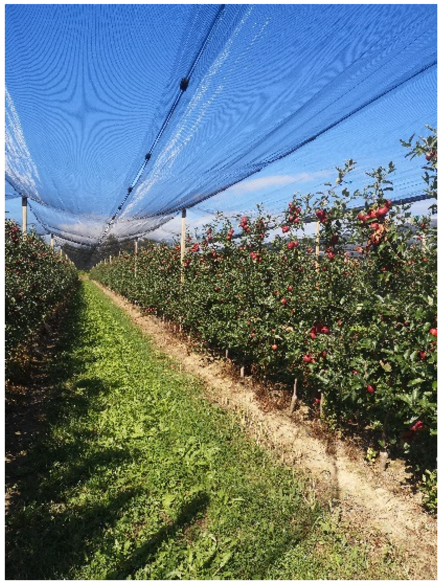 Sustainability 14 09264 g004 Sustainability 14 09264 g004