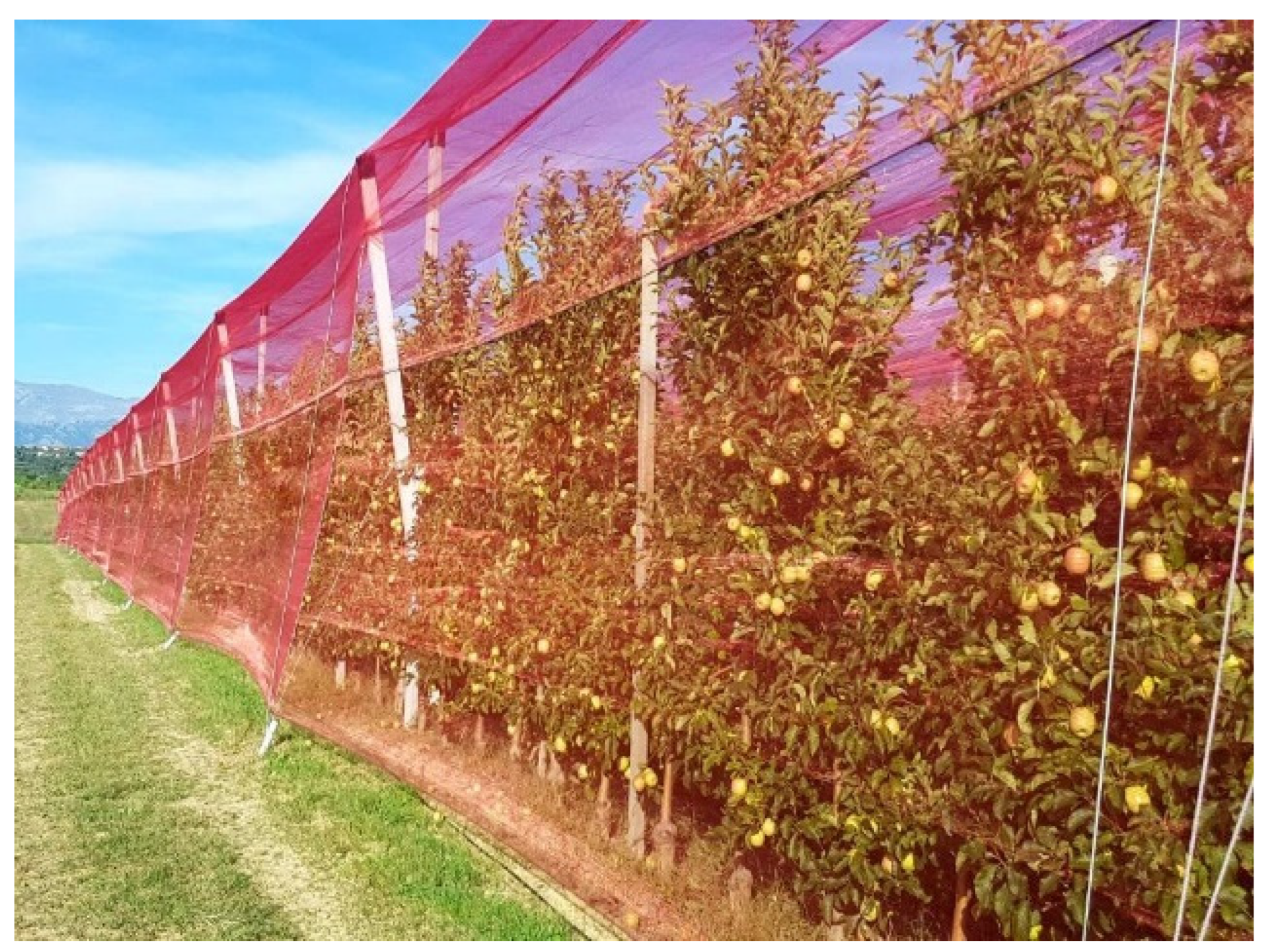 Sustainability 14 09264 g005 Sustainability 14 09264 g005