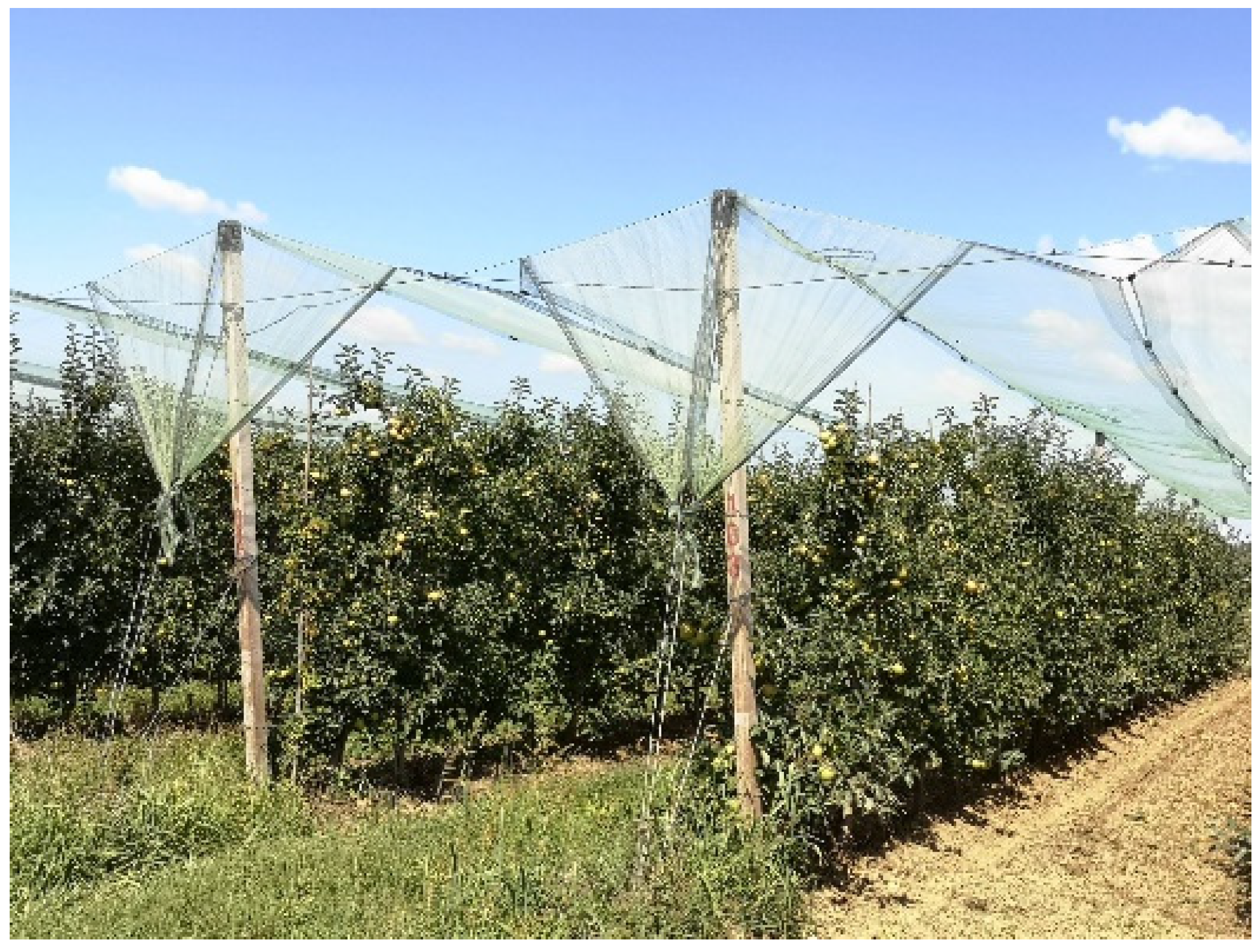 Sustainability 14 09264 g006 Sustainability 14 09264 g006