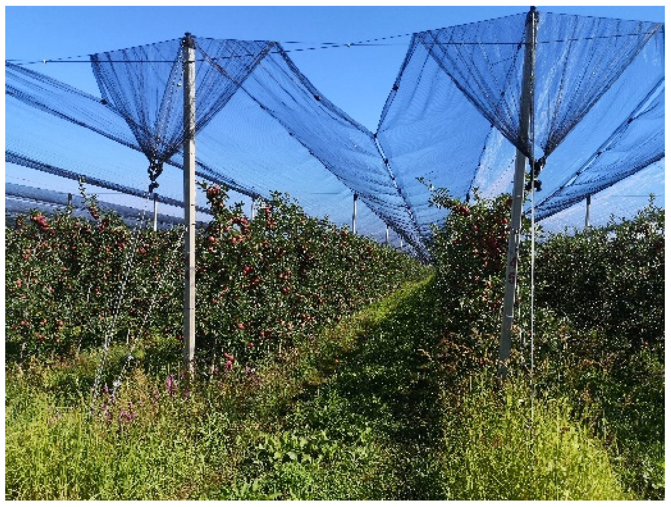 Sustainability 14 09264 g007 Sustainability 14 09264 g007