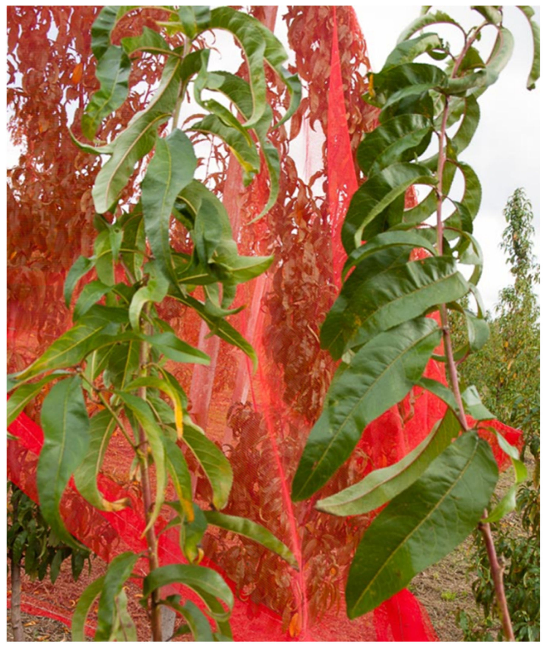 Sustainability 14 09264 g008 Sustainability 14 09264 g008