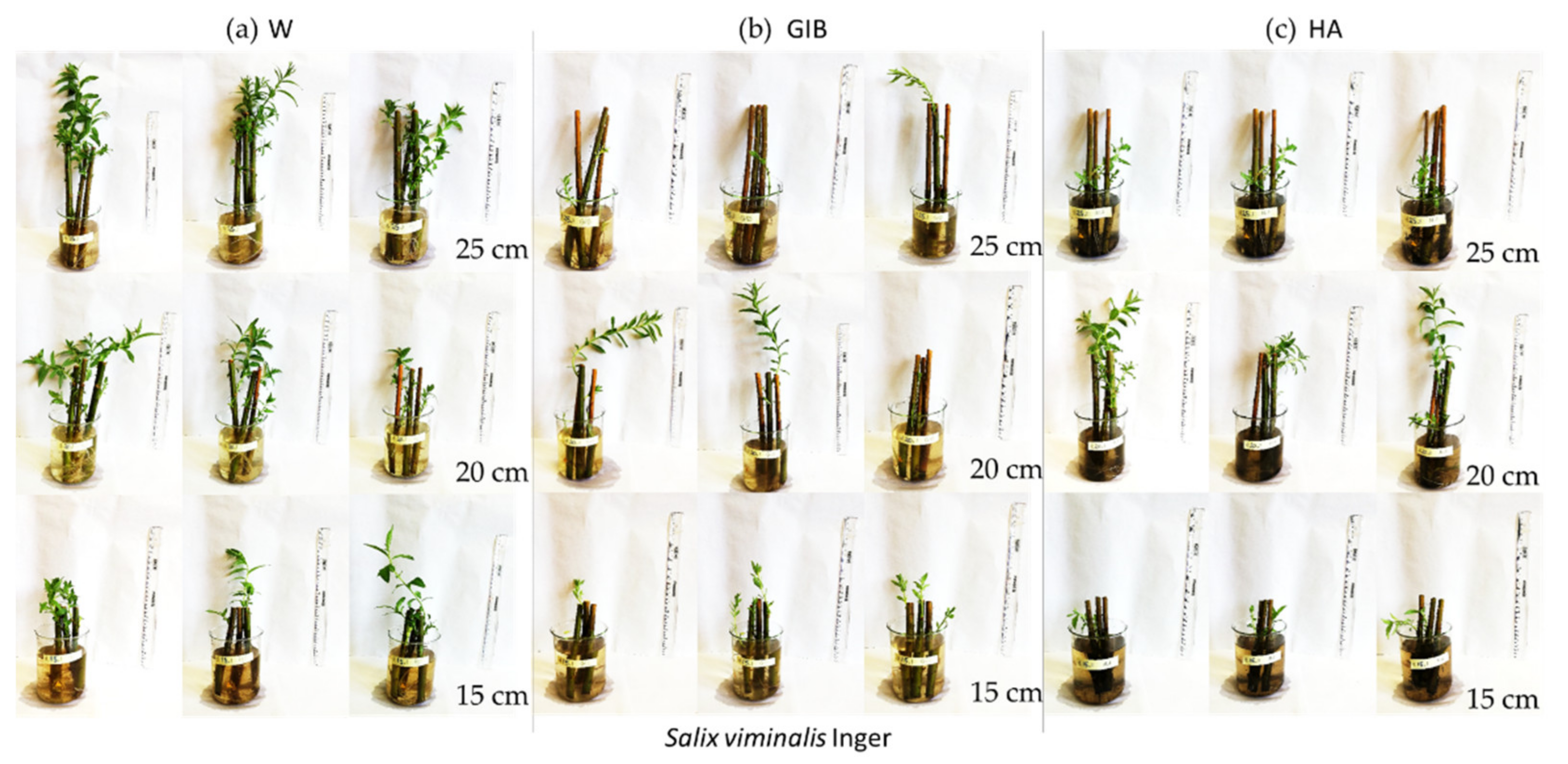 Sustainability 14 09272 g001a